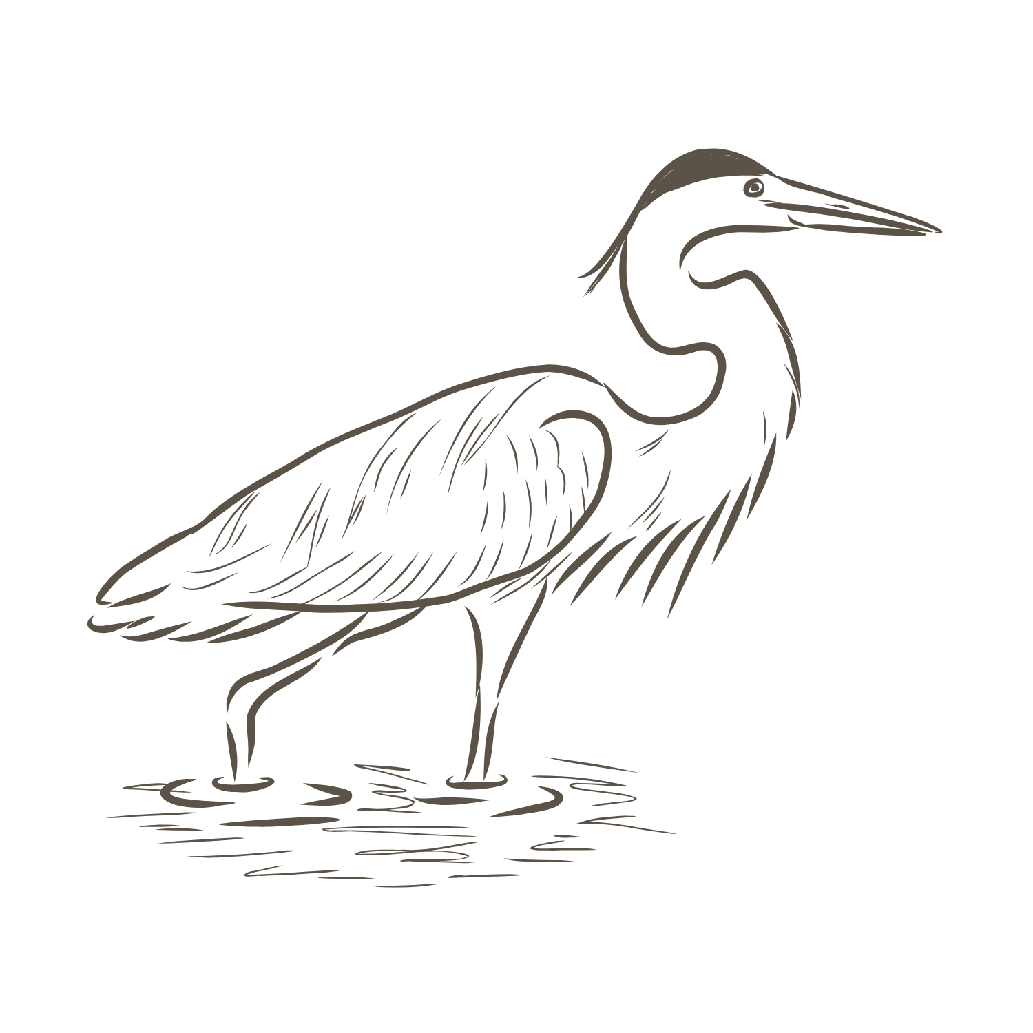Sketch of a great blue heron in water