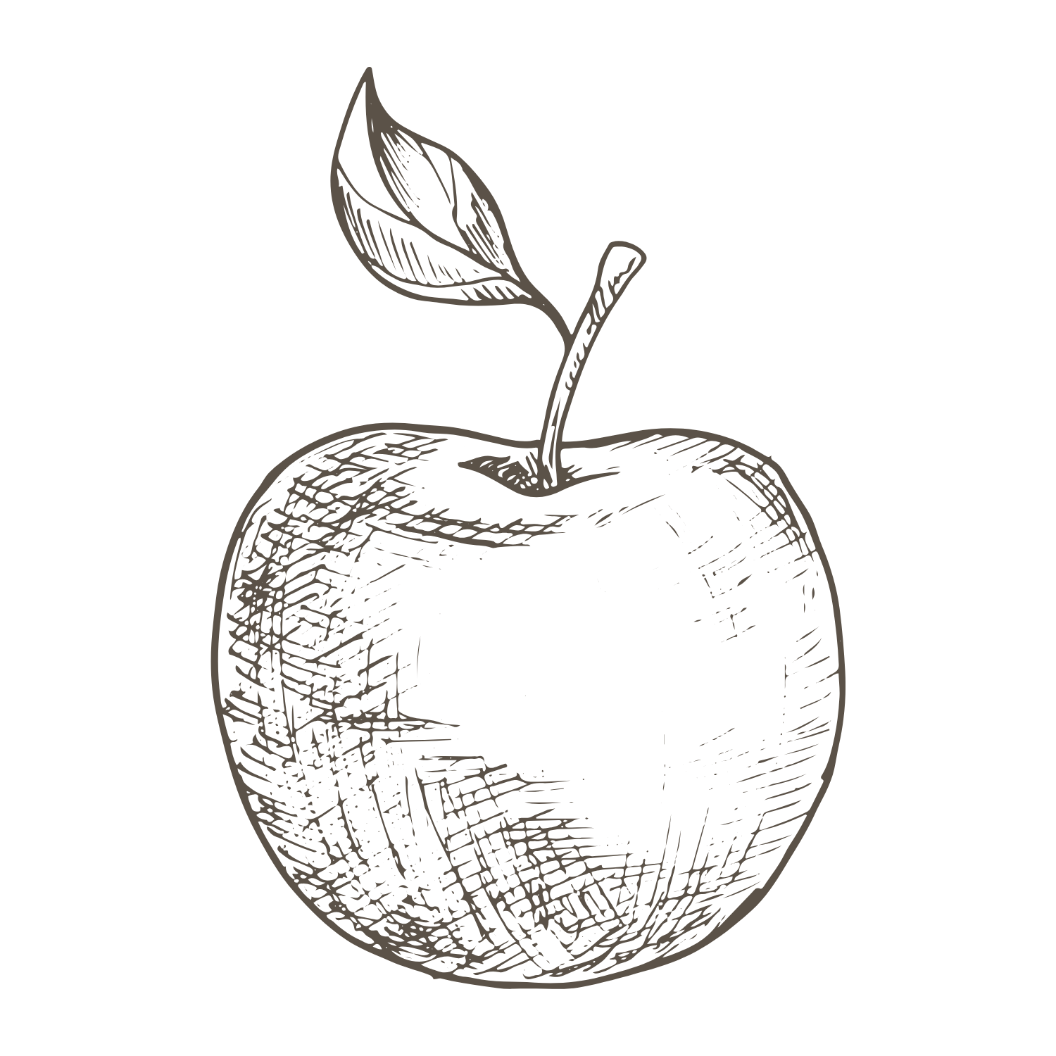 Drawing sketch of an apple