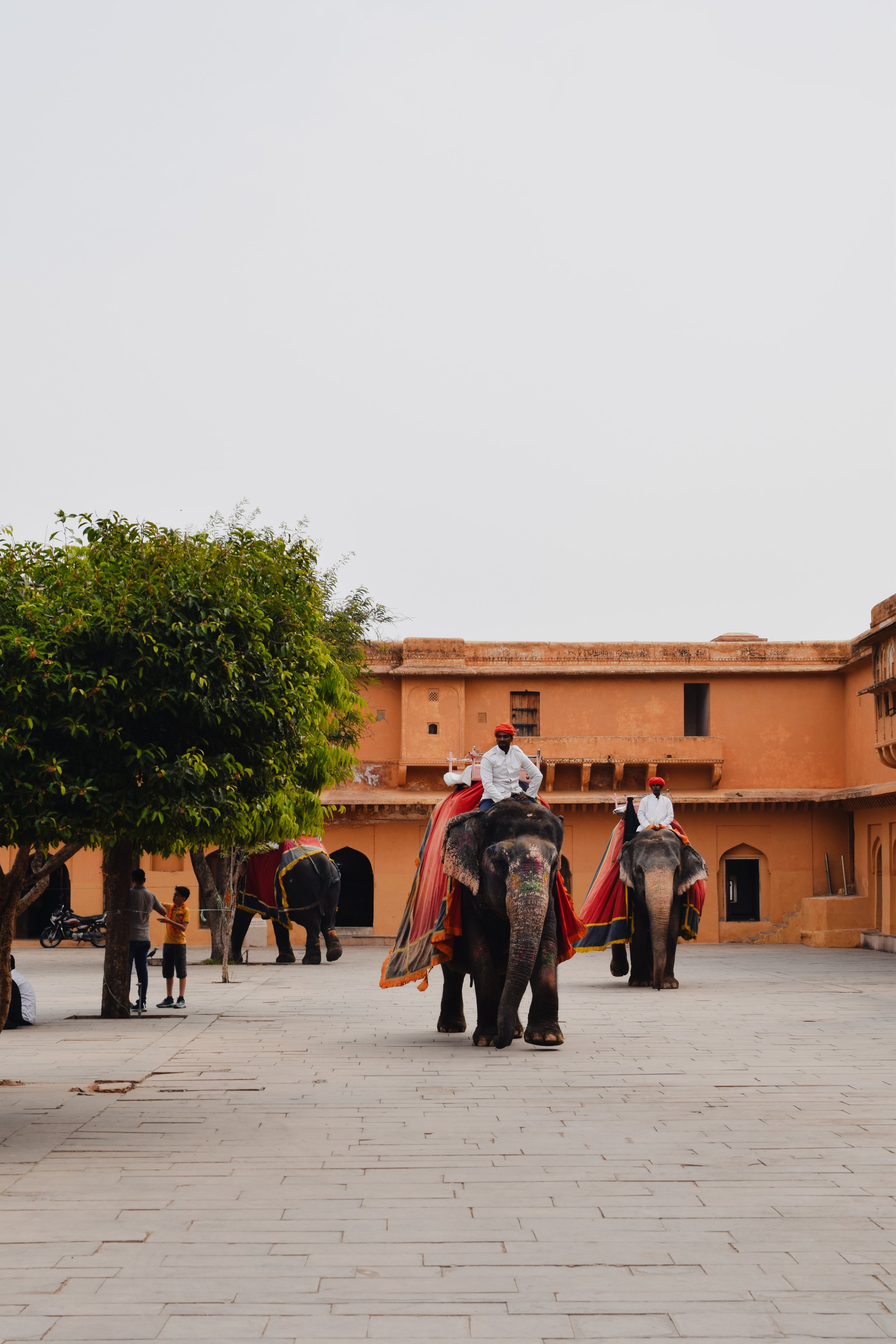 Amber Fort