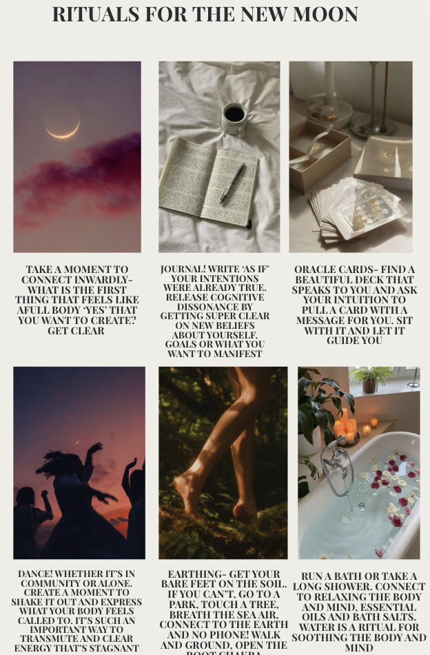 Screenshot 2026-02-15 at 16.50.58.png