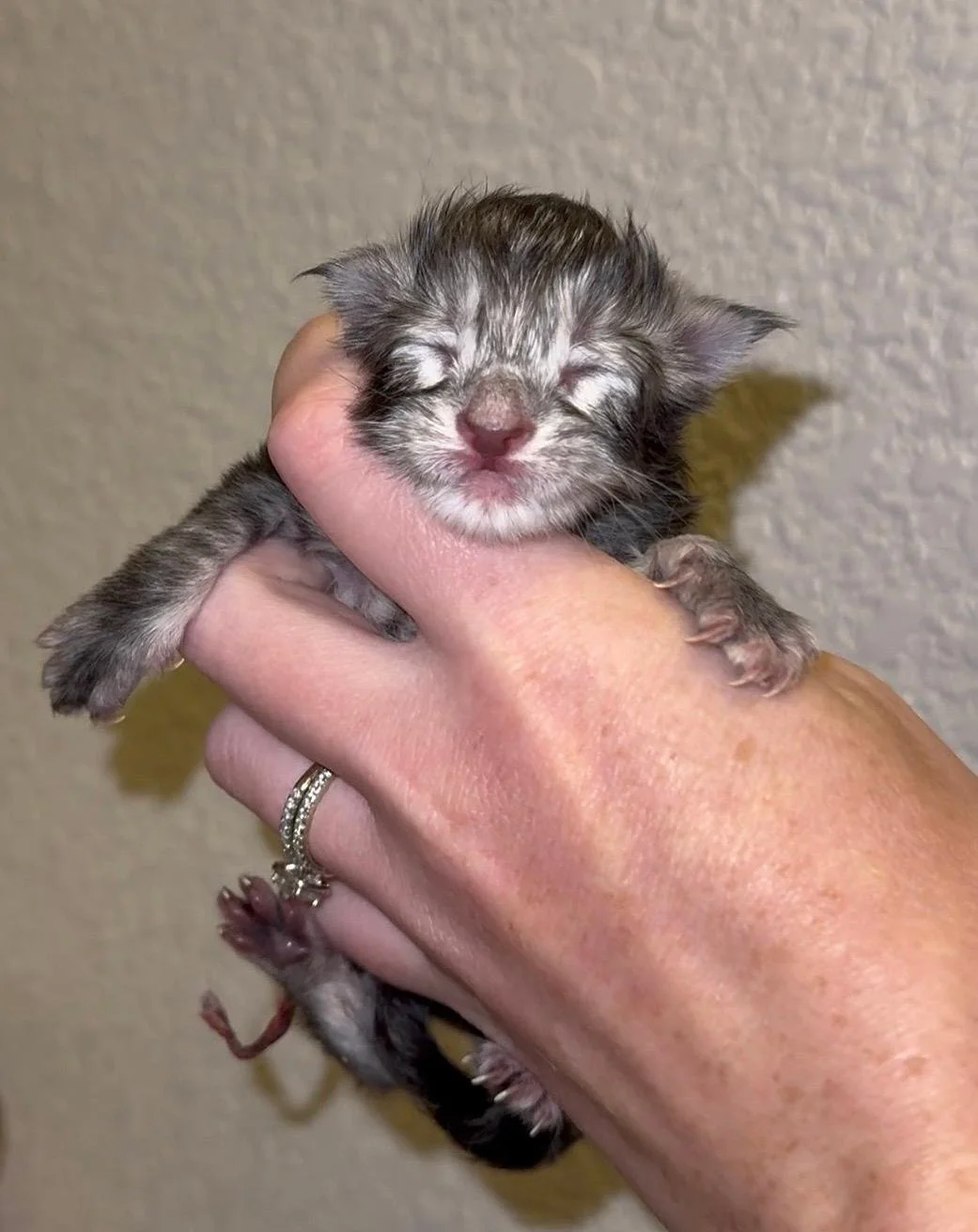 thumbnail-2.jpeg