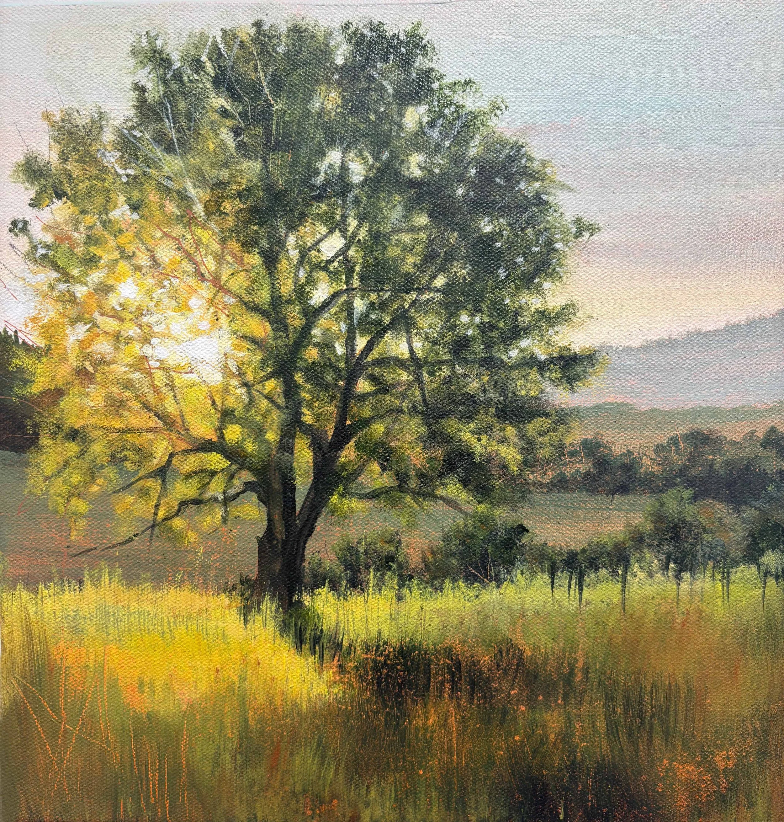 Understory, 12" x 12", Acrylic