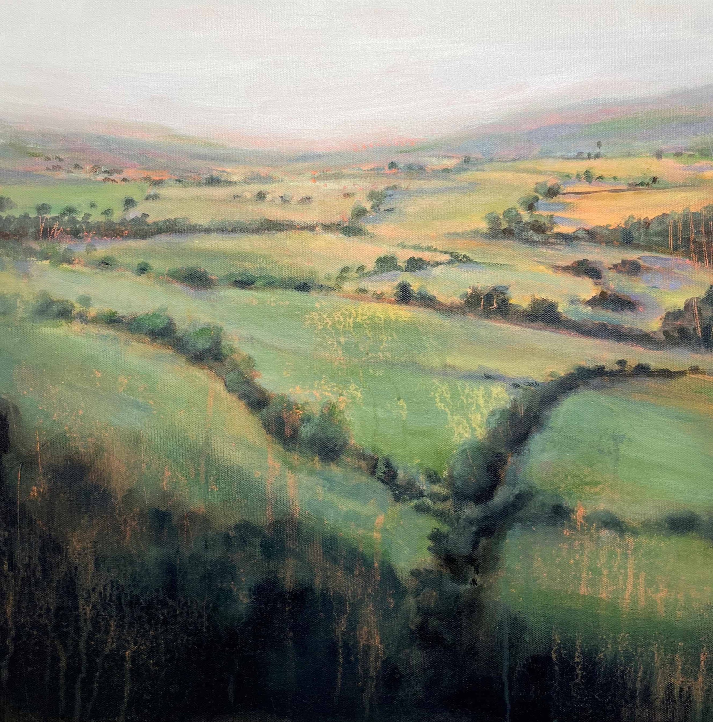 Hills of Dawn, 20" x 20", Acrylic