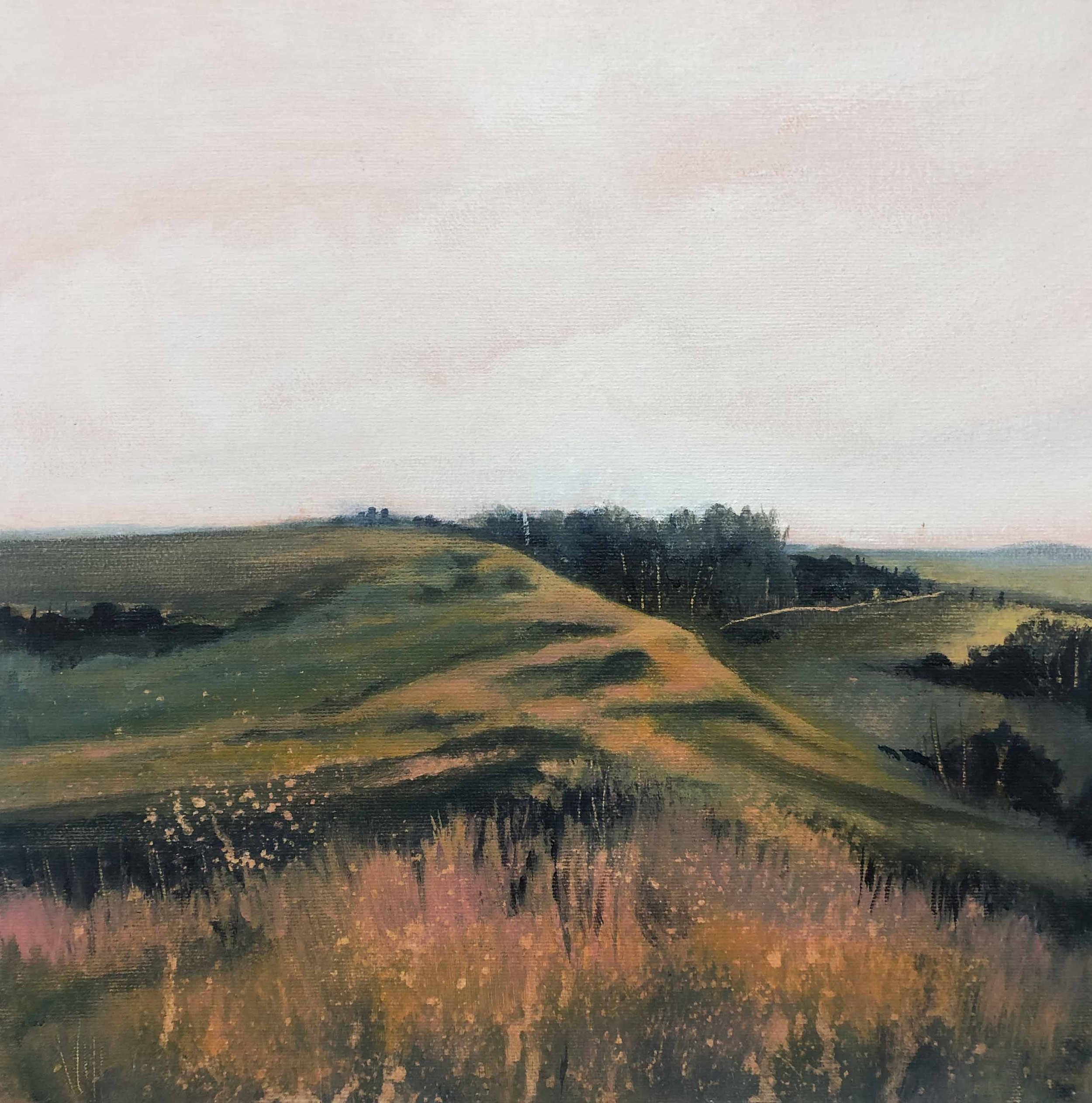Territory, 12" x 12", Acrylic