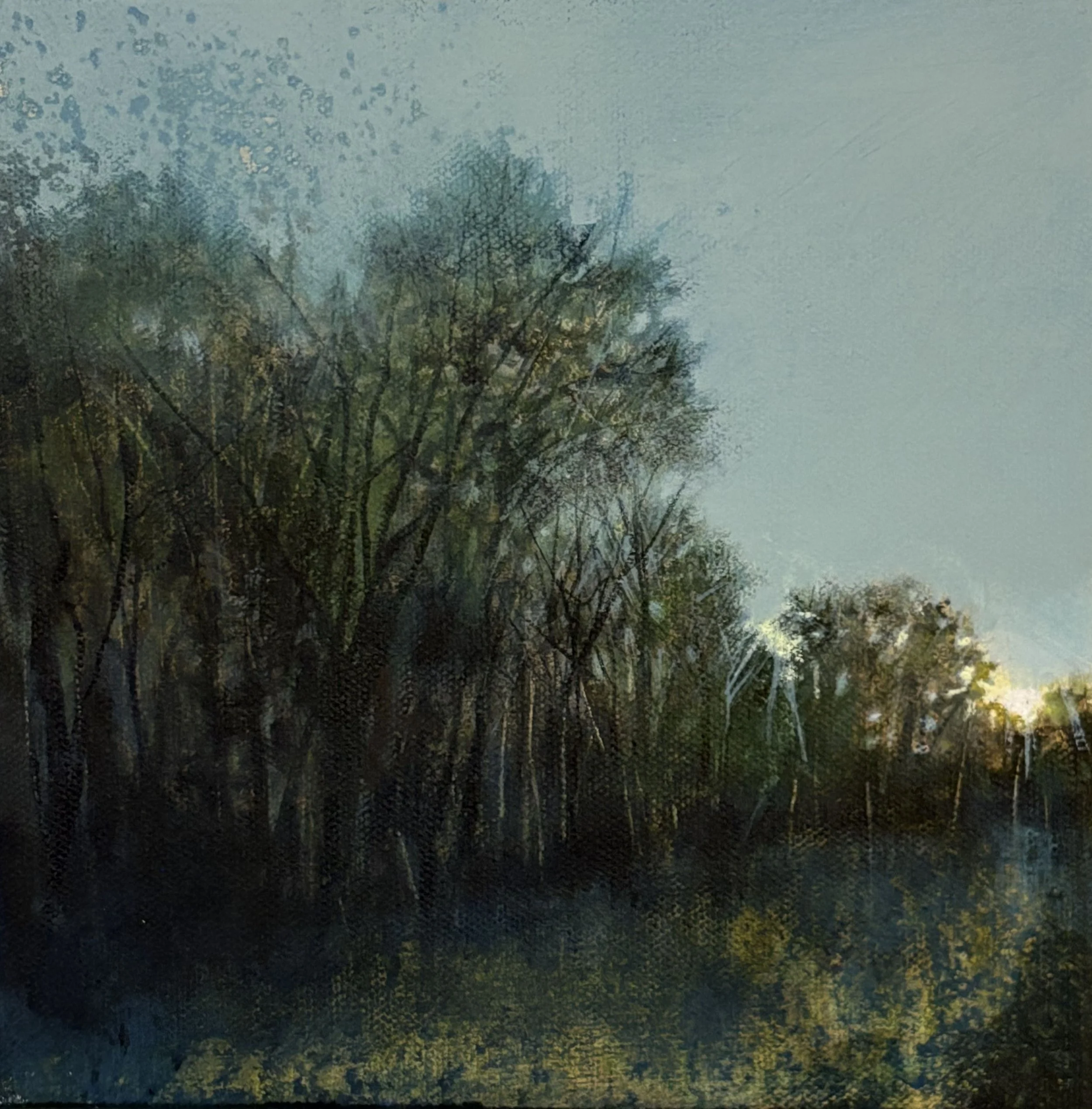 Listening Trees