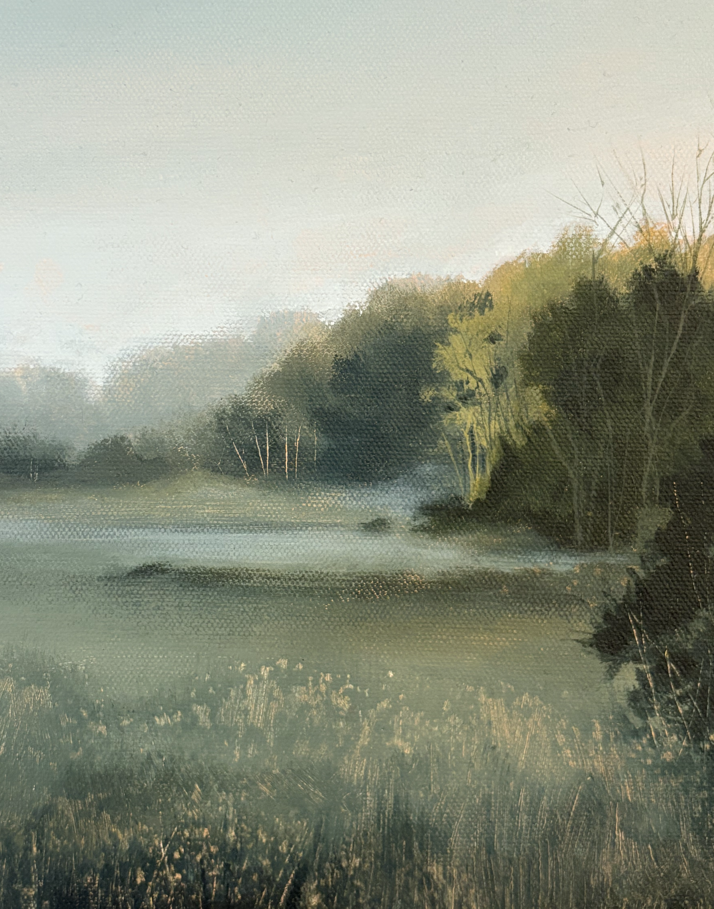 Morning Edge_detail.png