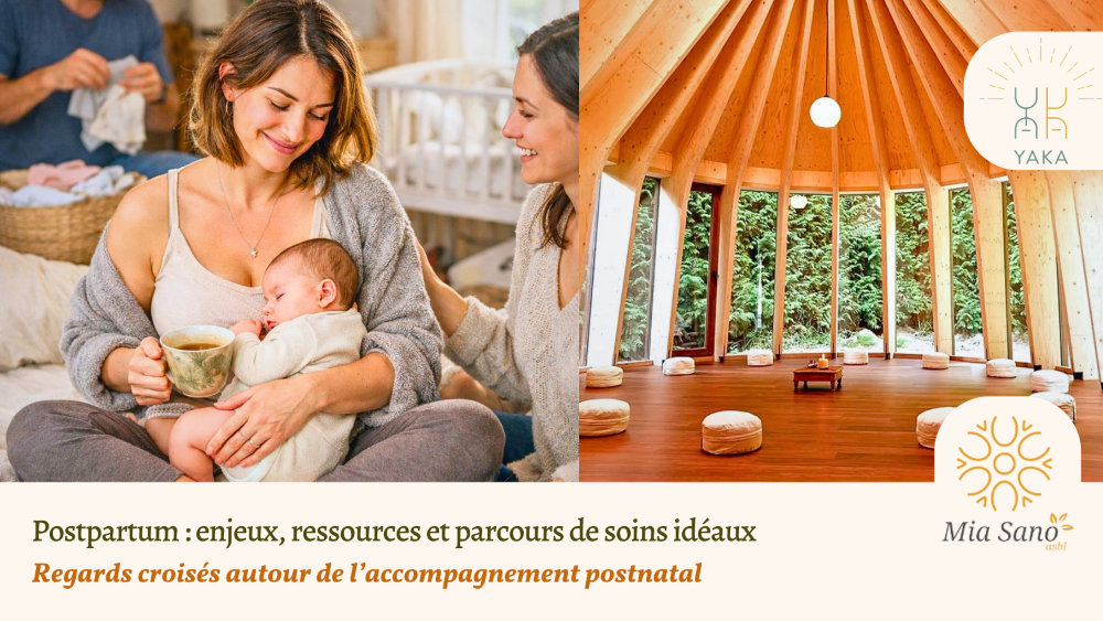 Postpartum:&nbsp;enjeux, ressources et parcours de soins idéaux
