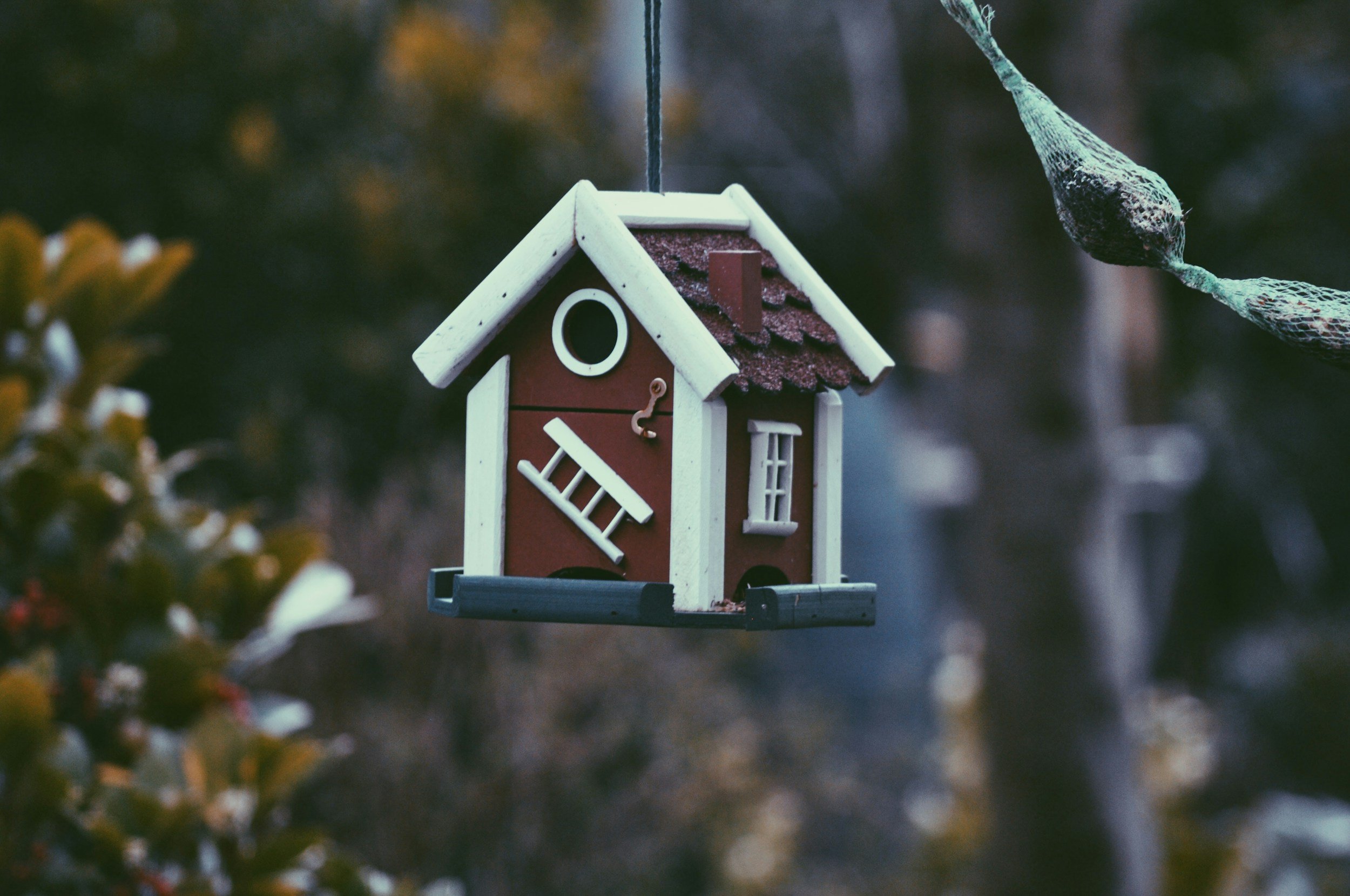 A colorful decorative birdhouse hanging outdoors, with a blurred background of trees and foliage.