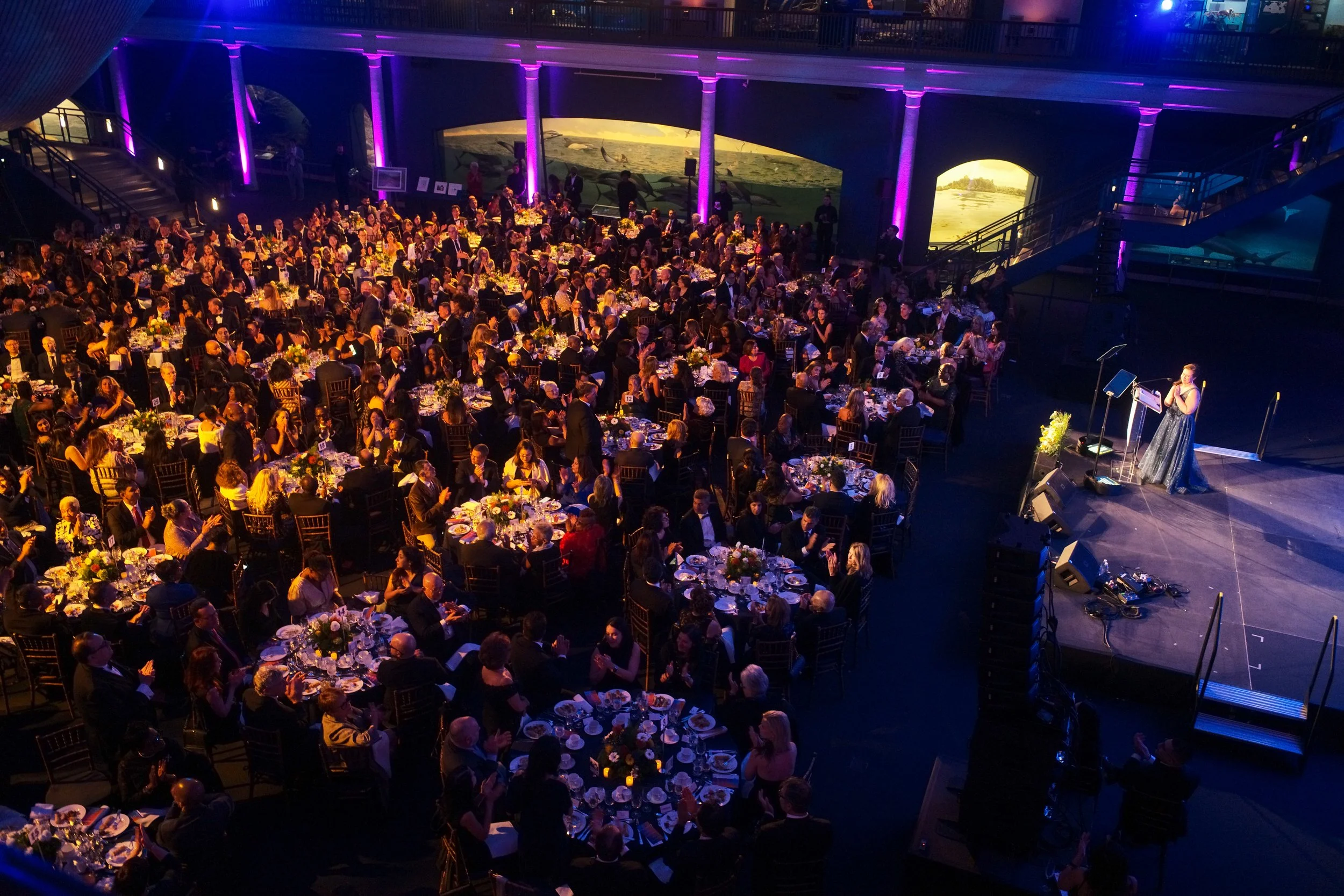 BFA_42150_5914914.jpg