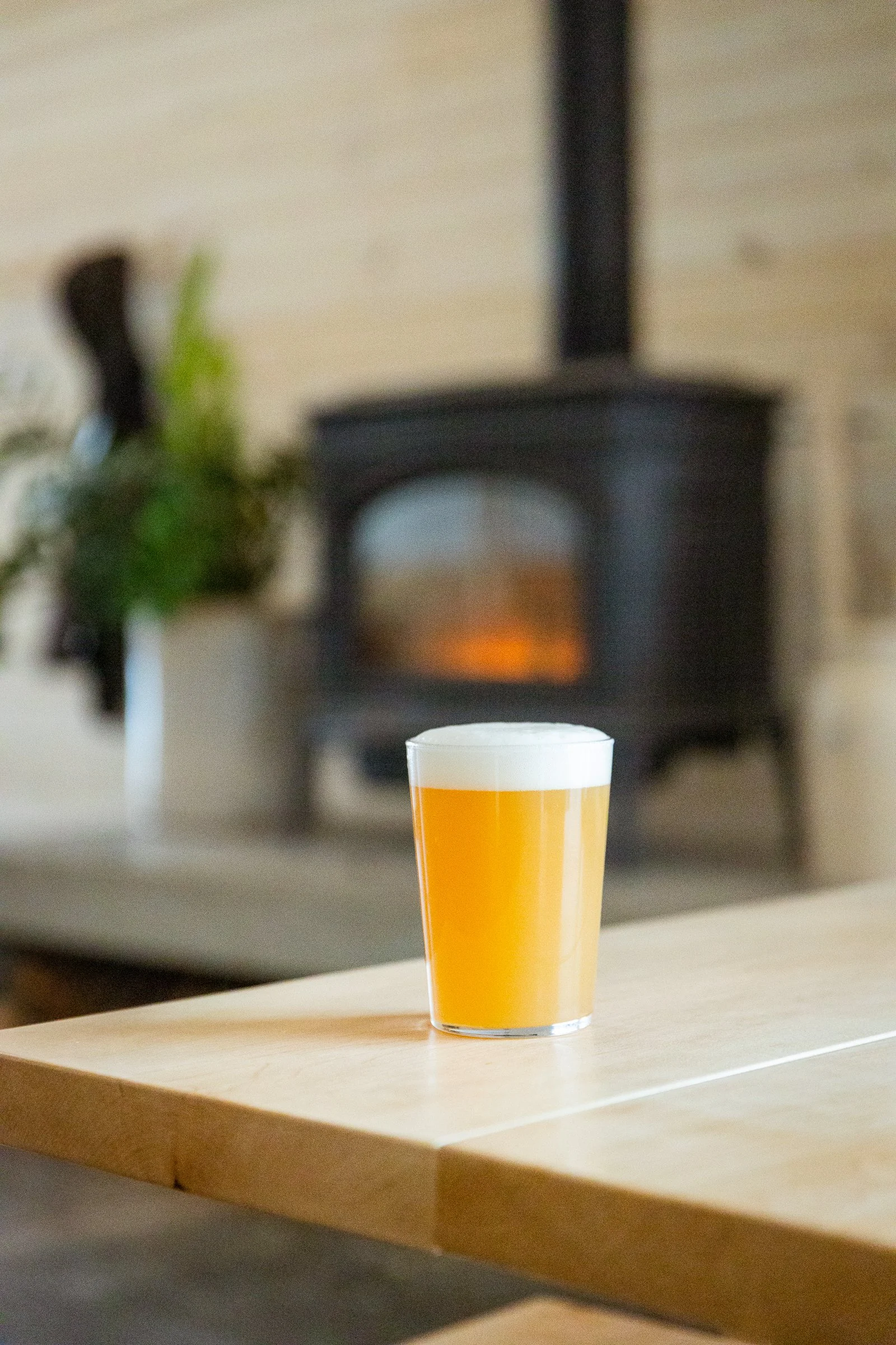 For the Love of Lager