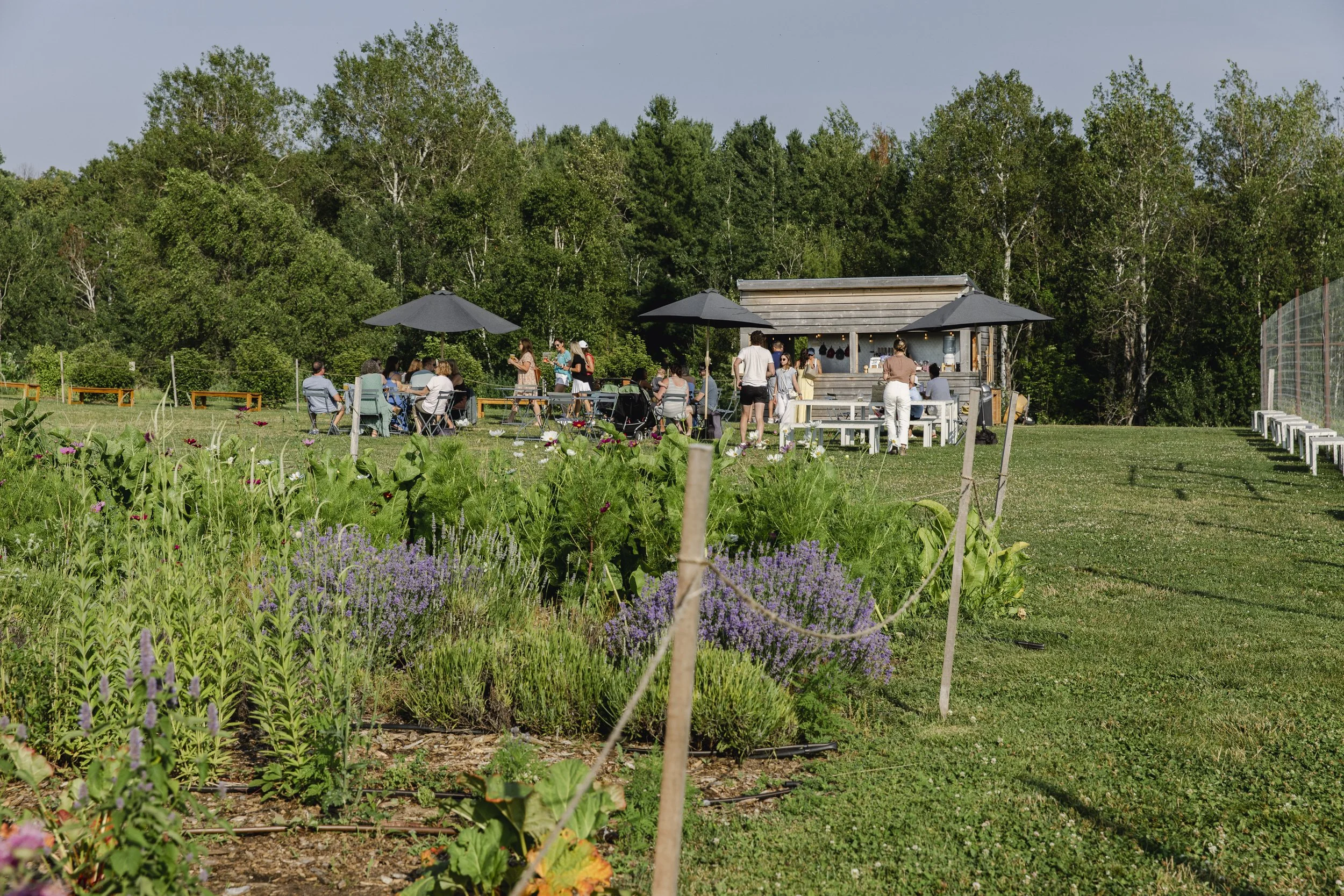 @Raquel-LaurenLLC-Farm-Club-1926.jpg