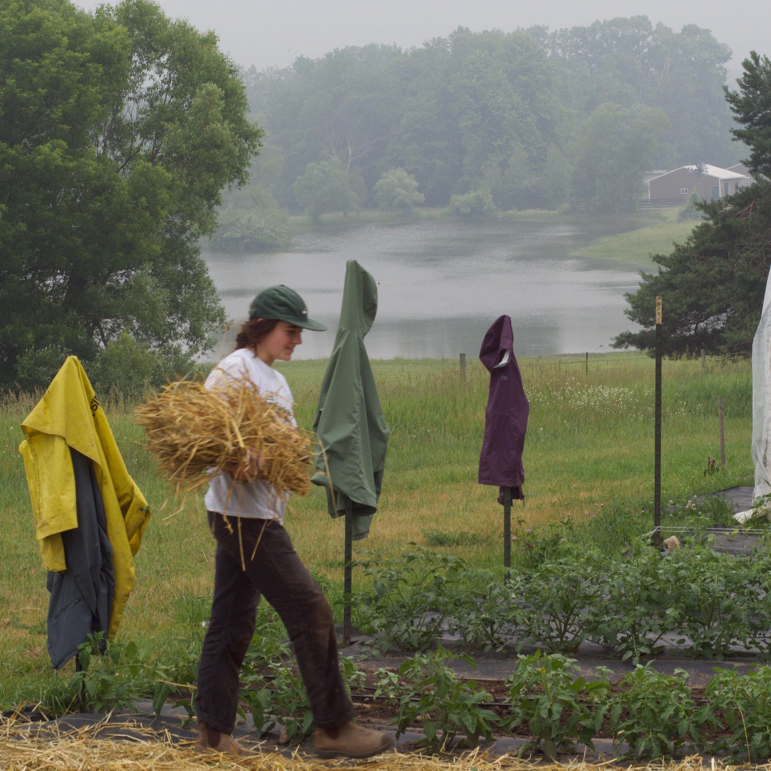 evelyn mulching.JPEG