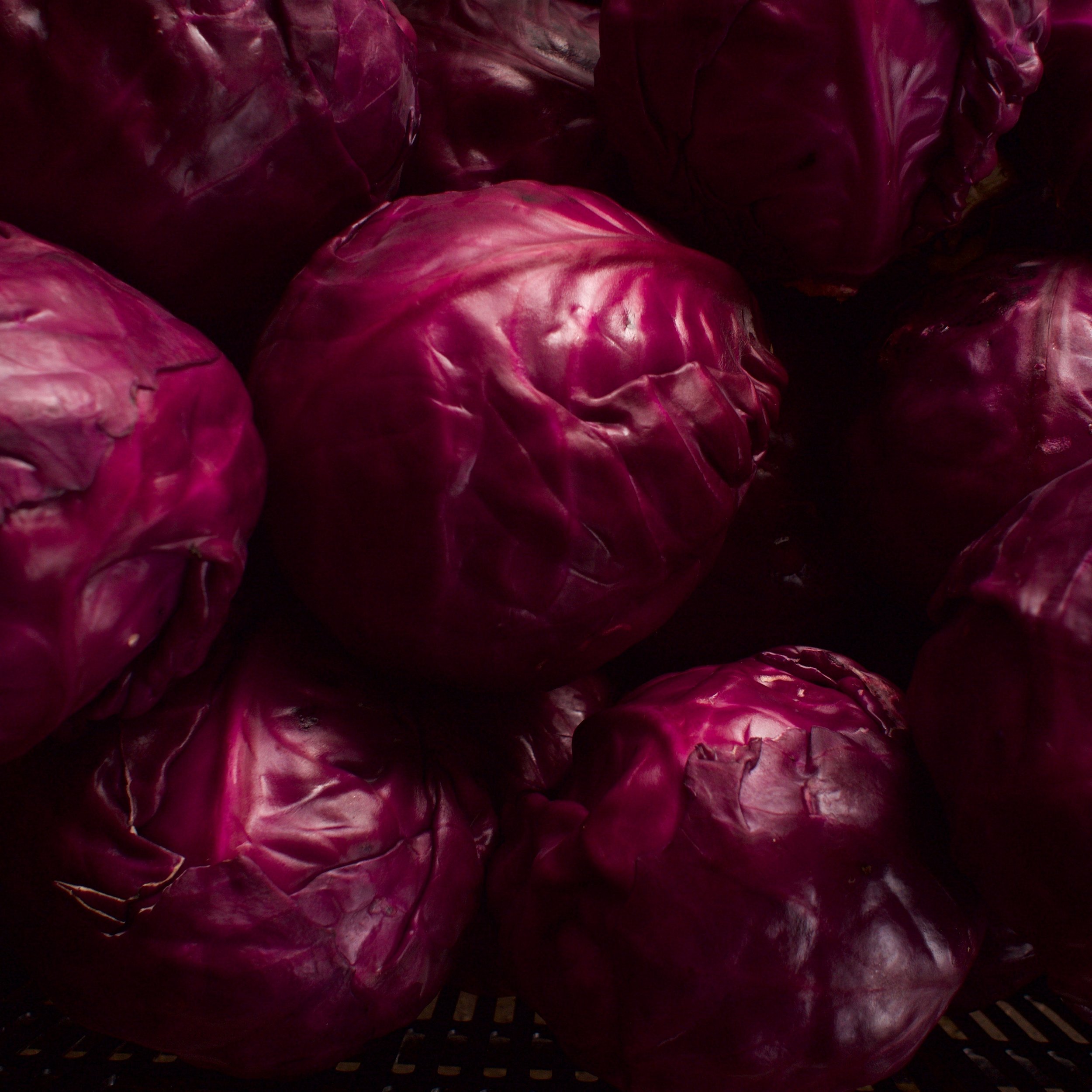 red cabbage in crate.JPG