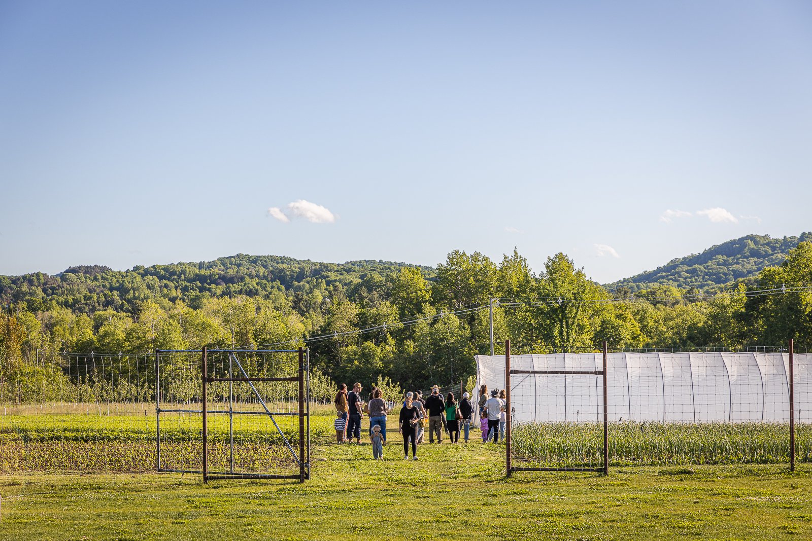 Garden Tour at Farm Club