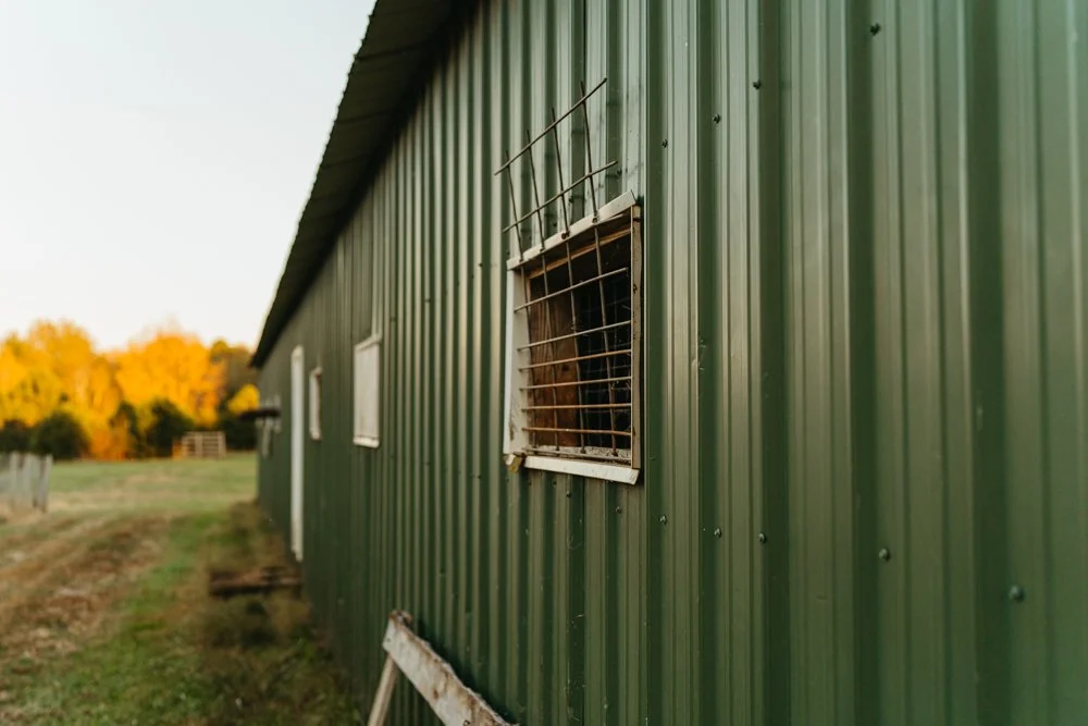 The Persimmon Grove - Riley Rutland Photography_ LLC.-50.jpg