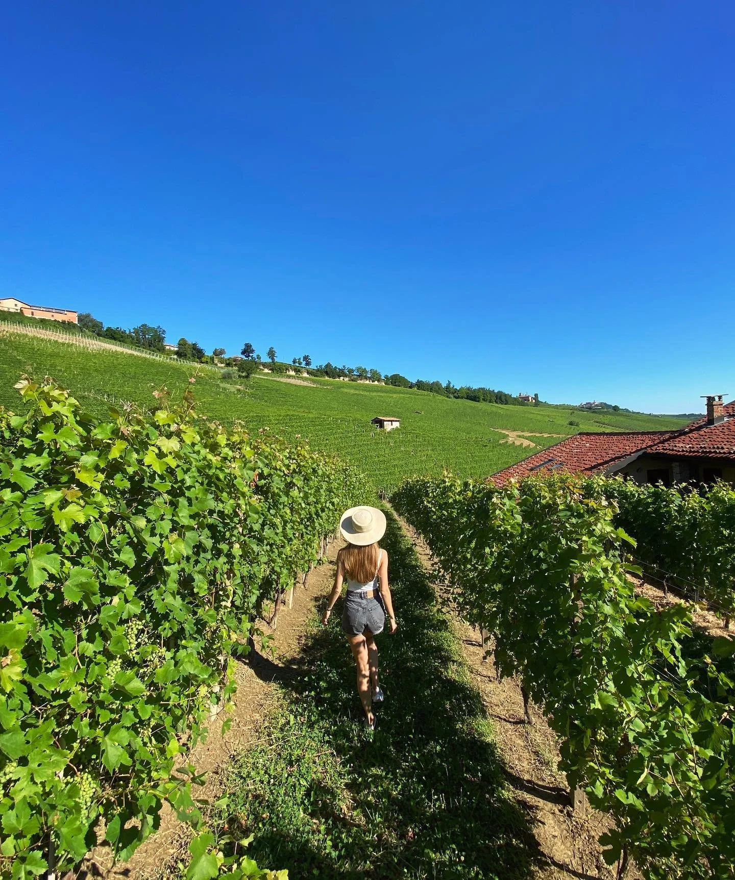 Checking how the new vintage is coming along 🍇 🍷