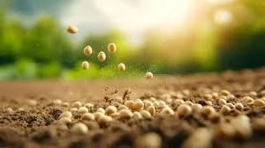 He who has Ears to Hear, Hear! (Que celui qui a des Oreilles pour Entendre, Entende !)