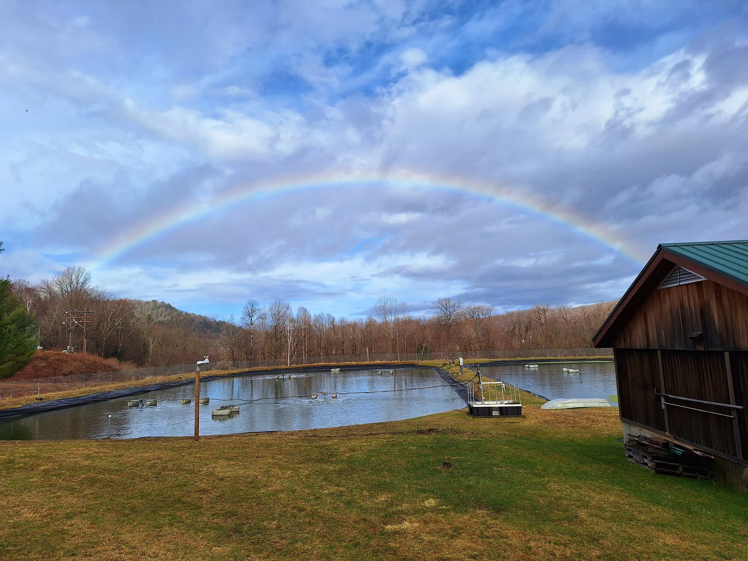 Rainbow at WWTF.jpg