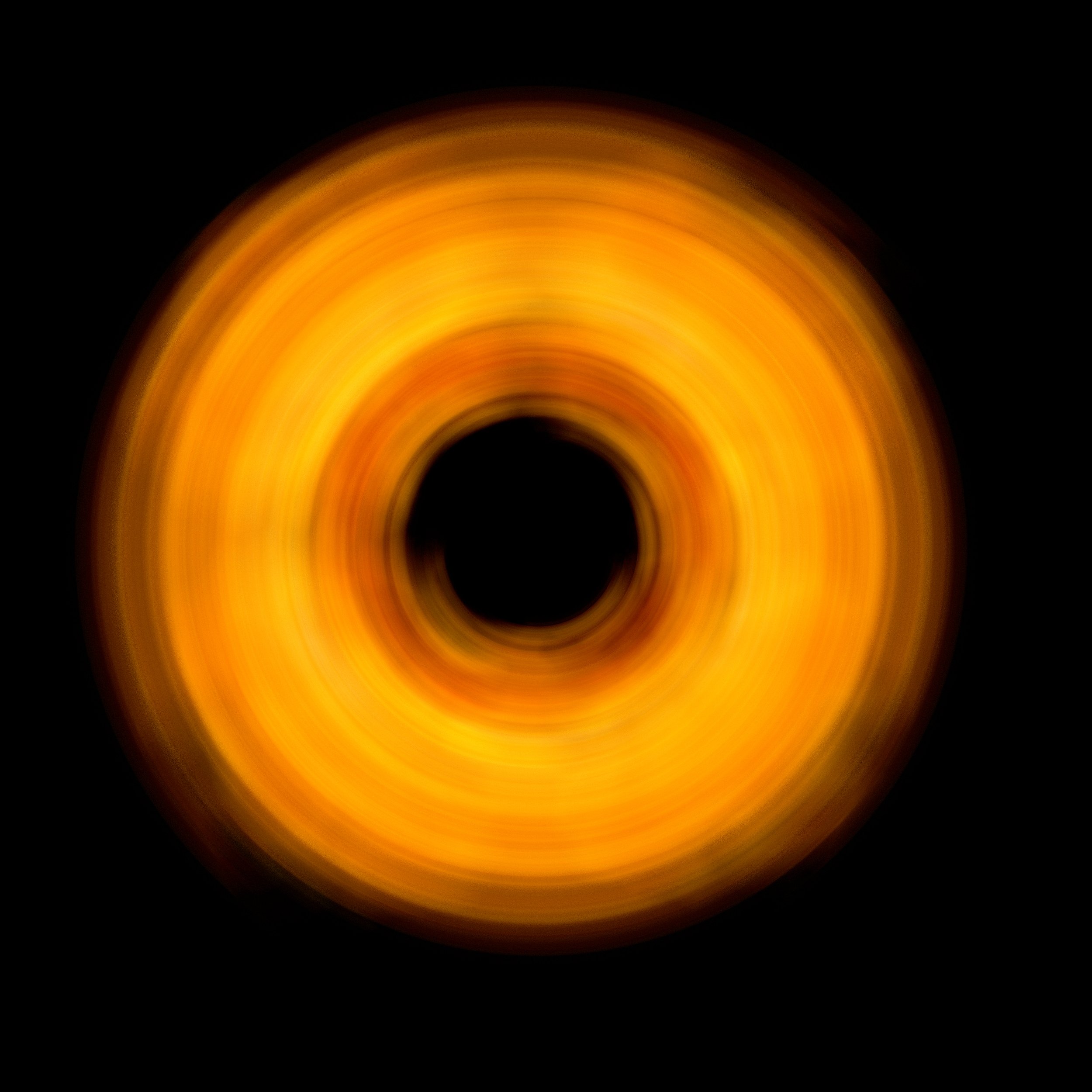 Dried Rhododendron Spin.jpg