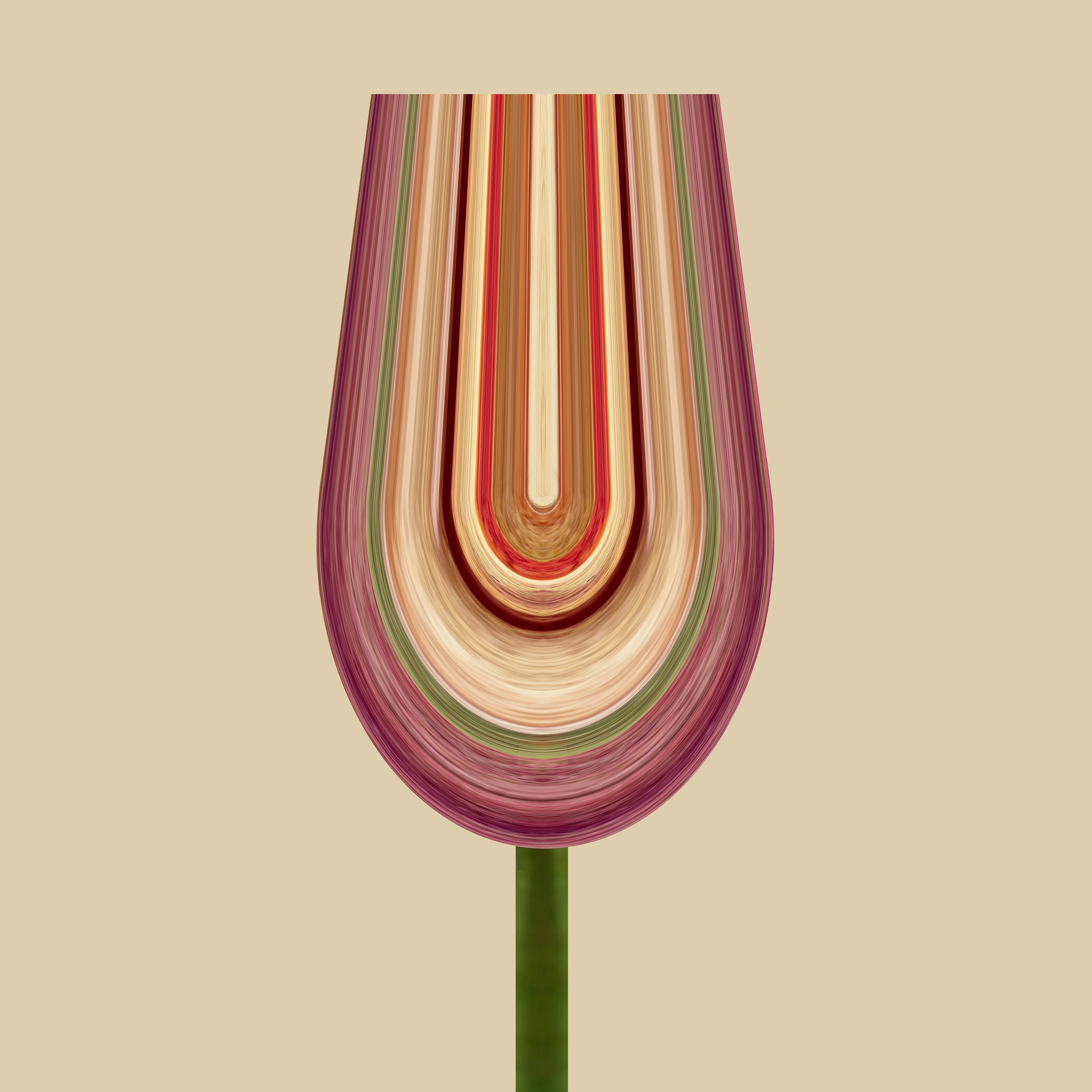 Rose 1