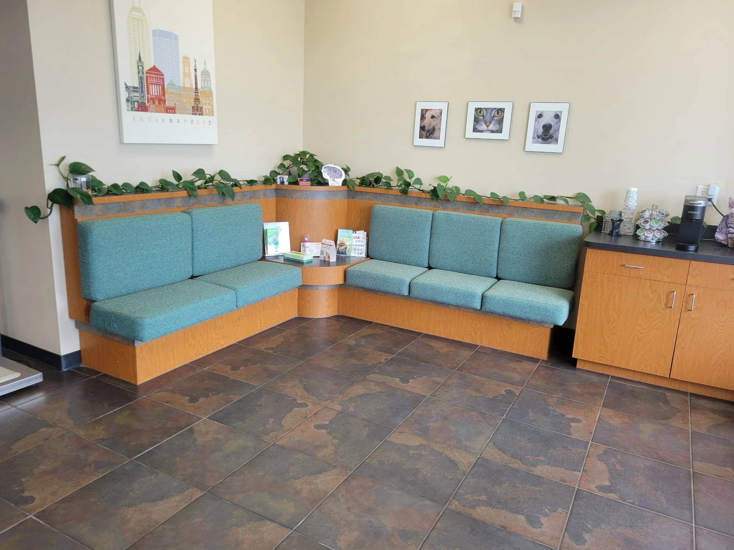 Animal Dermatology 82nd Street Office