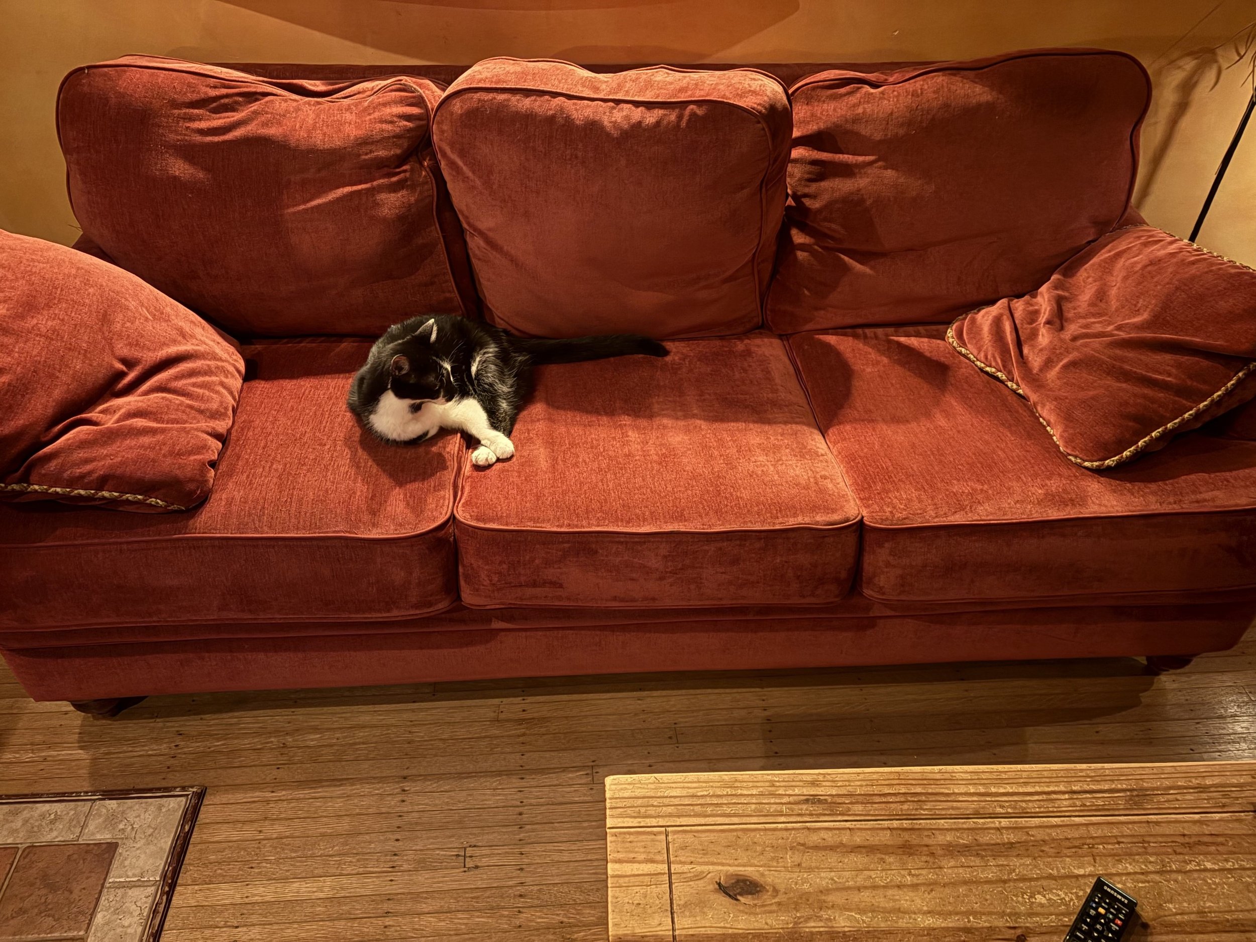 Sofa Cushions ONLY Redone