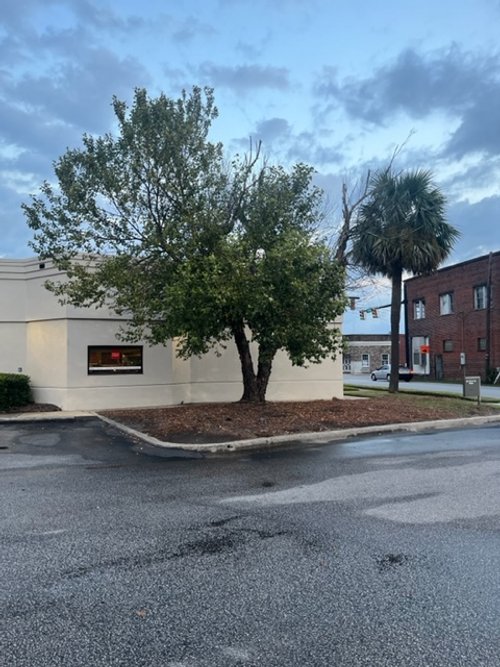 Commercial tree removal job.