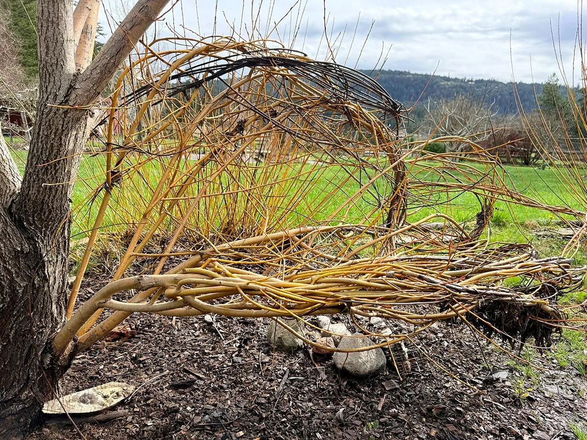 LivingStructure_Bench_02.jpg