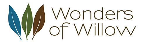 Logo for Wonders of Willow, featuring three stylized leaves in blue, green, and brown.