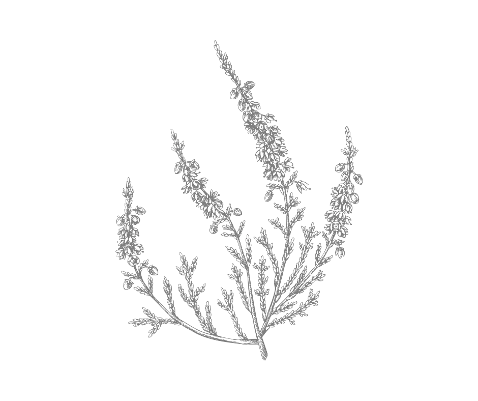 Favorite Amazon Finds glass bottles — {Vintage} Heather