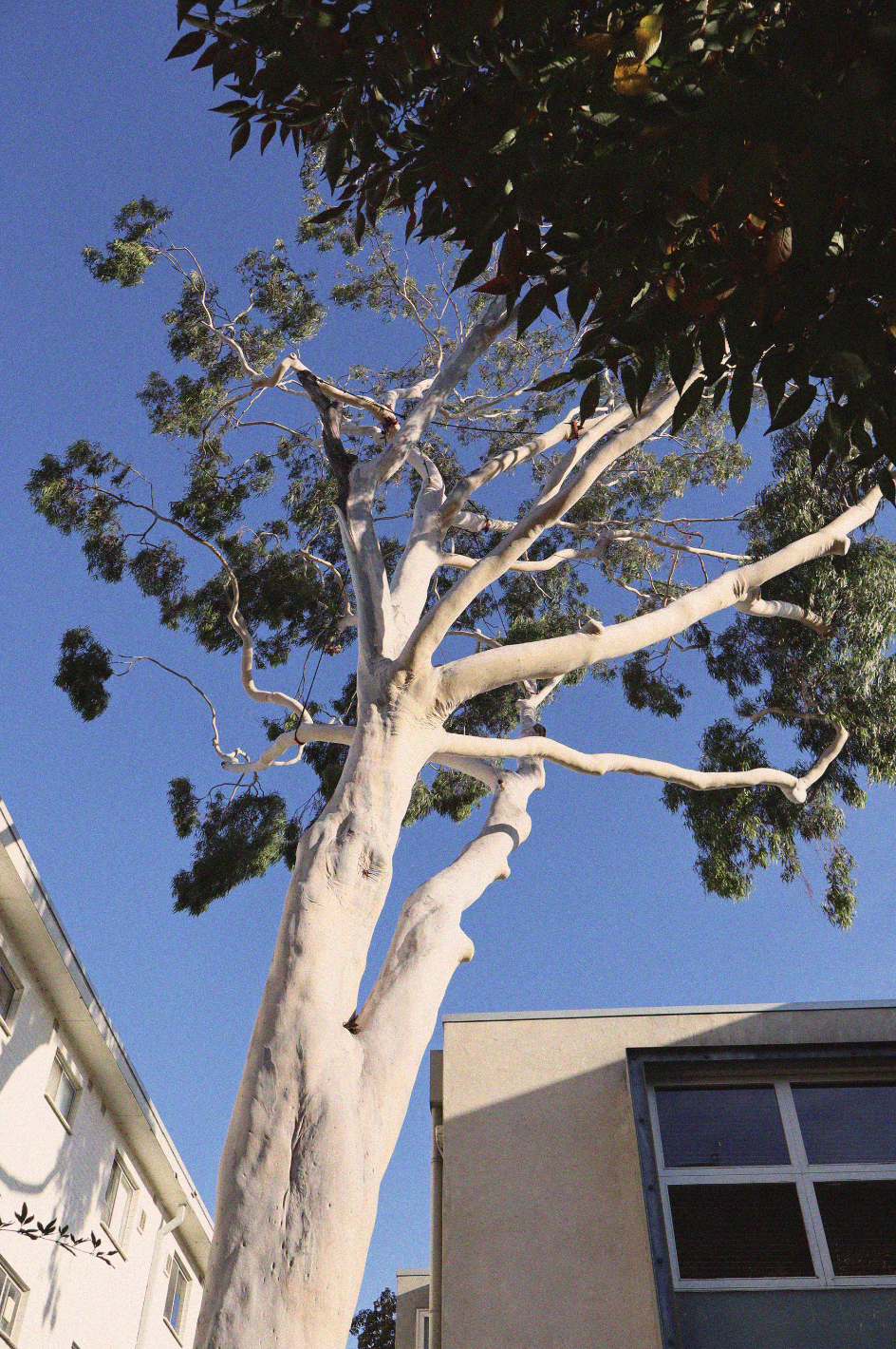 Schermafbeelding 2025-09-15 om 18.03.09.png