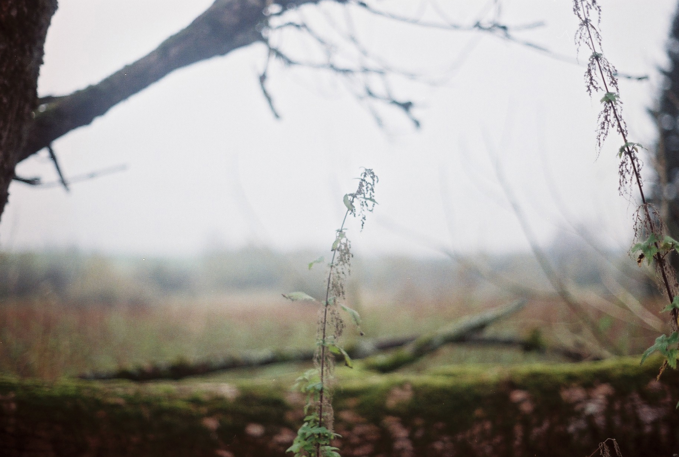 Schermafbeelding 2023-09-27 om 21.47.56.png