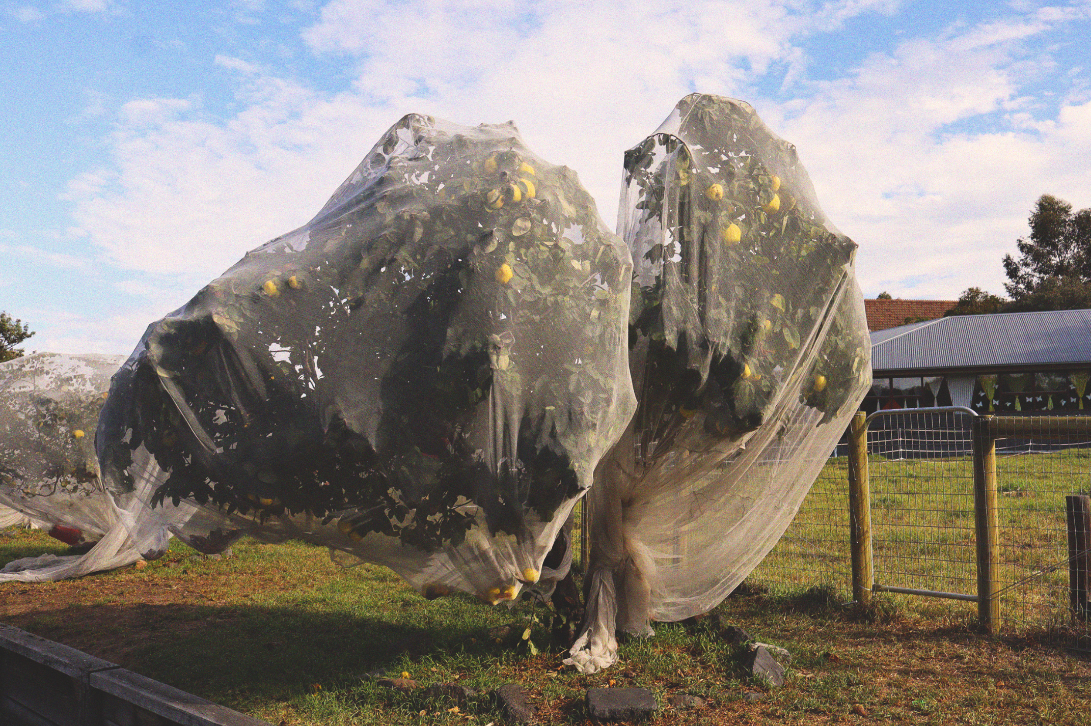 Schermafbeelding 2025-09-15 om 18.03.21.png