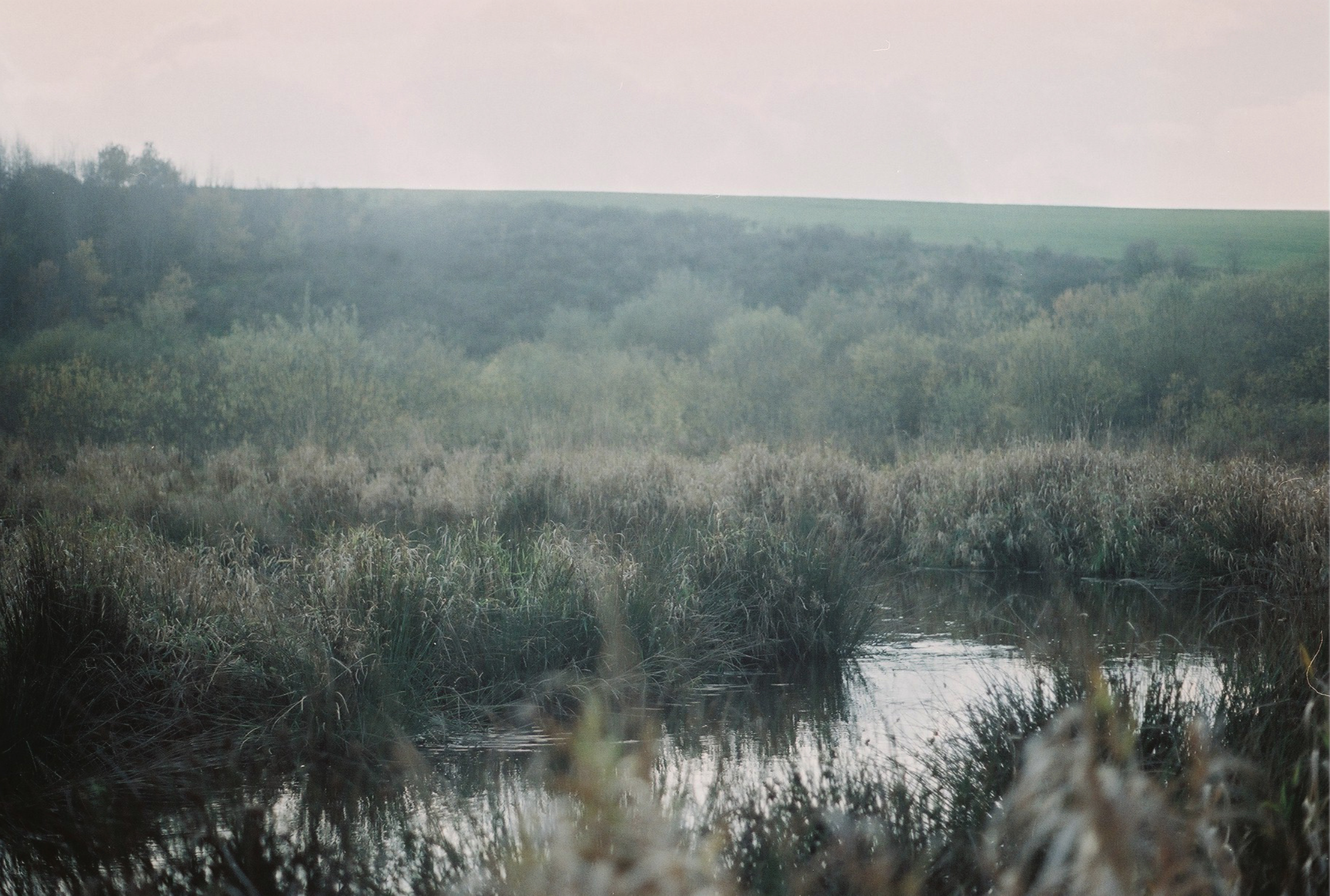 Schermafbeelding 2023-09-27 om 21.48.23.png