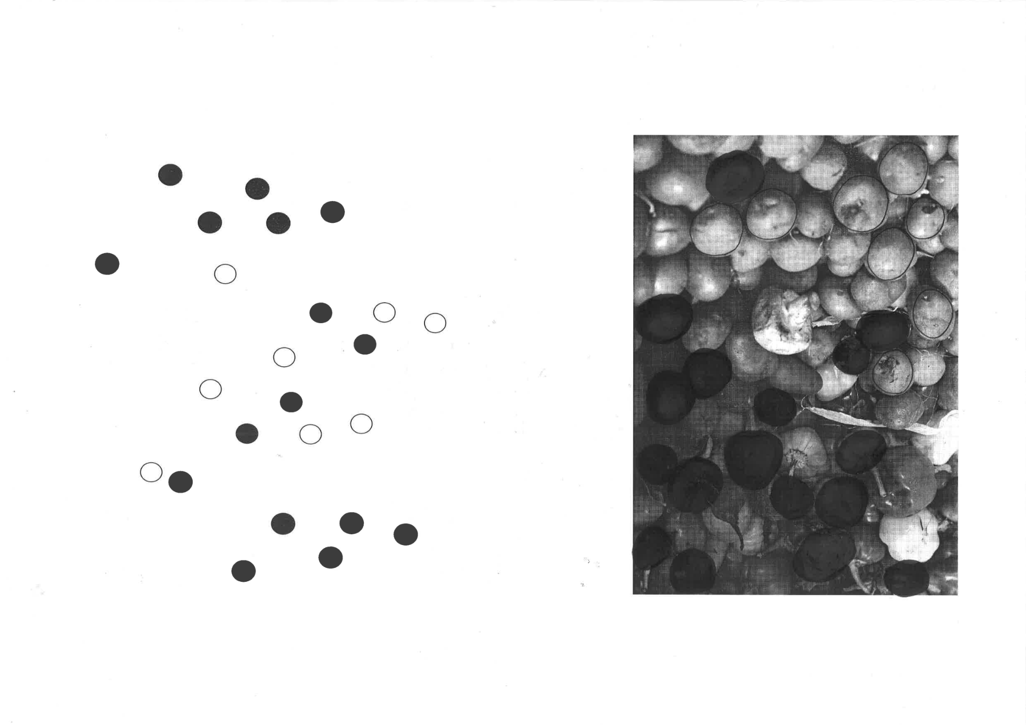 Schermafbeelding 2023-09-27 om 21.29.49.png