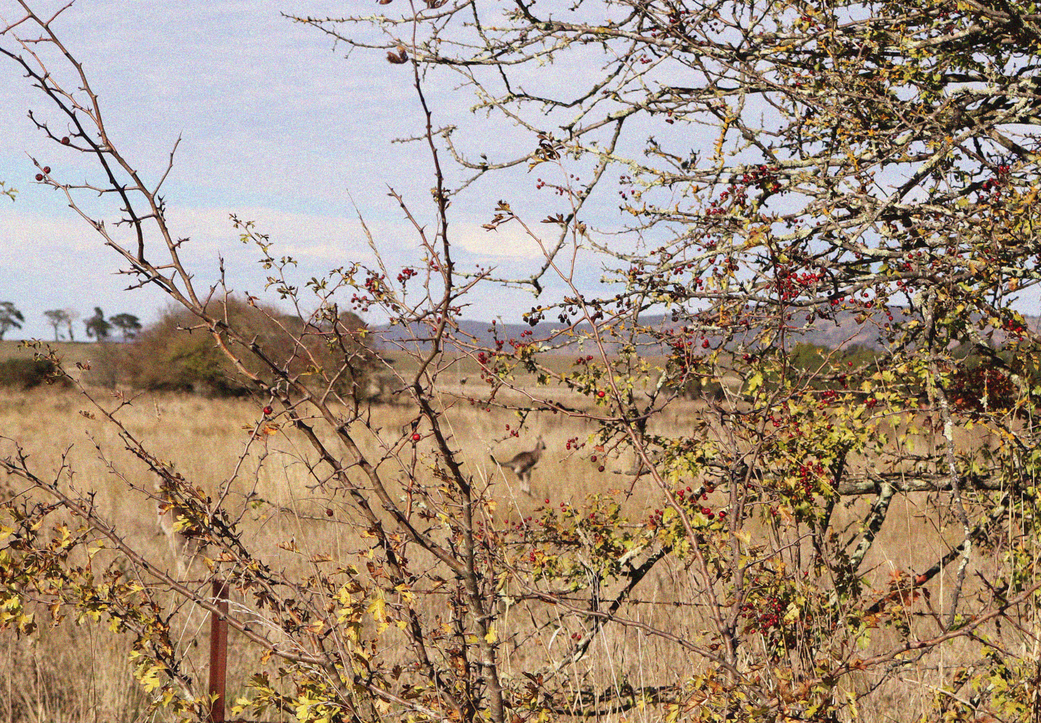 Schermafbeelding 2025-09-15 om 18.02.57.png