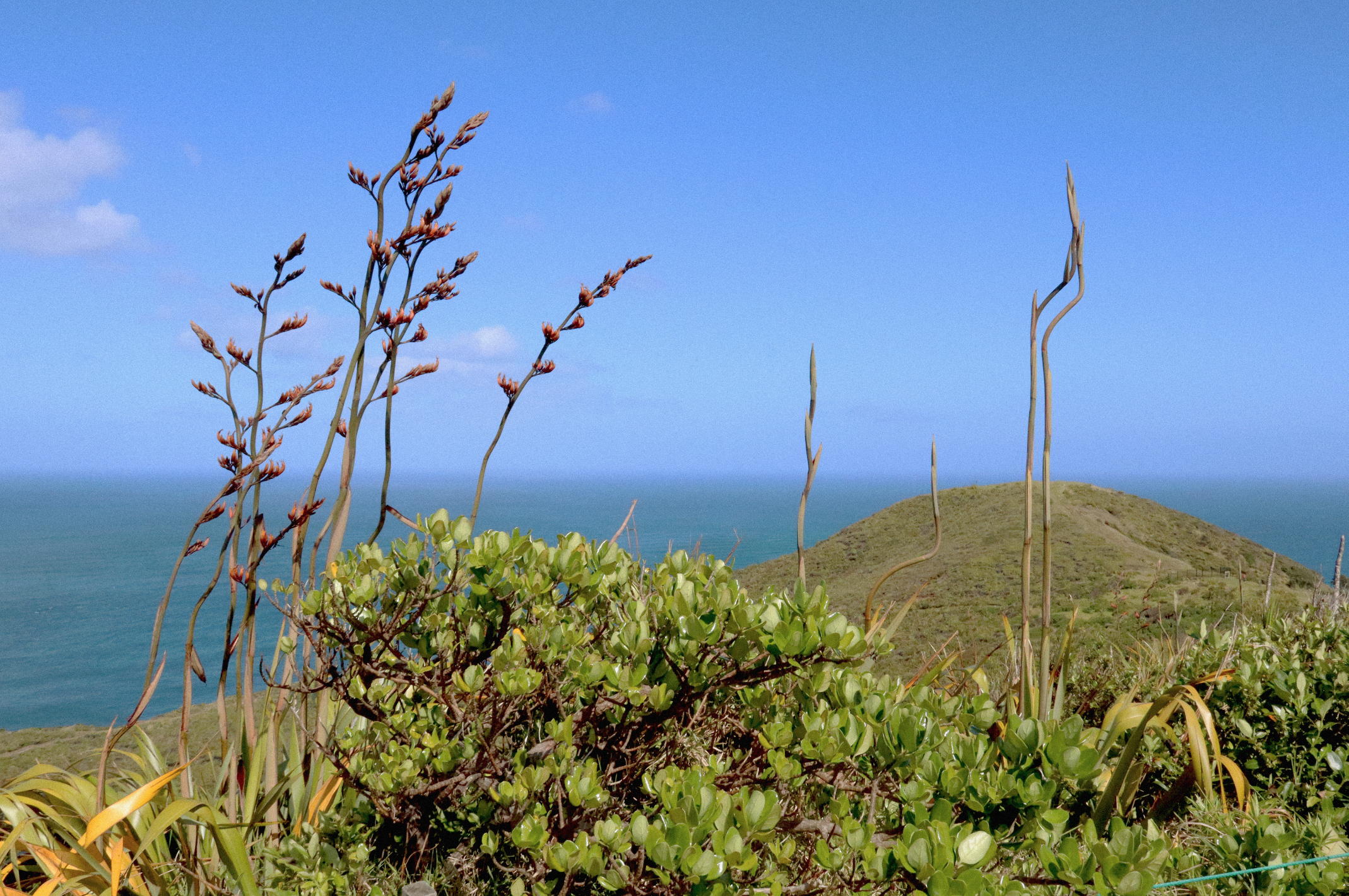 Schermafbeelding 2025-09-15 om 18.00.34.png