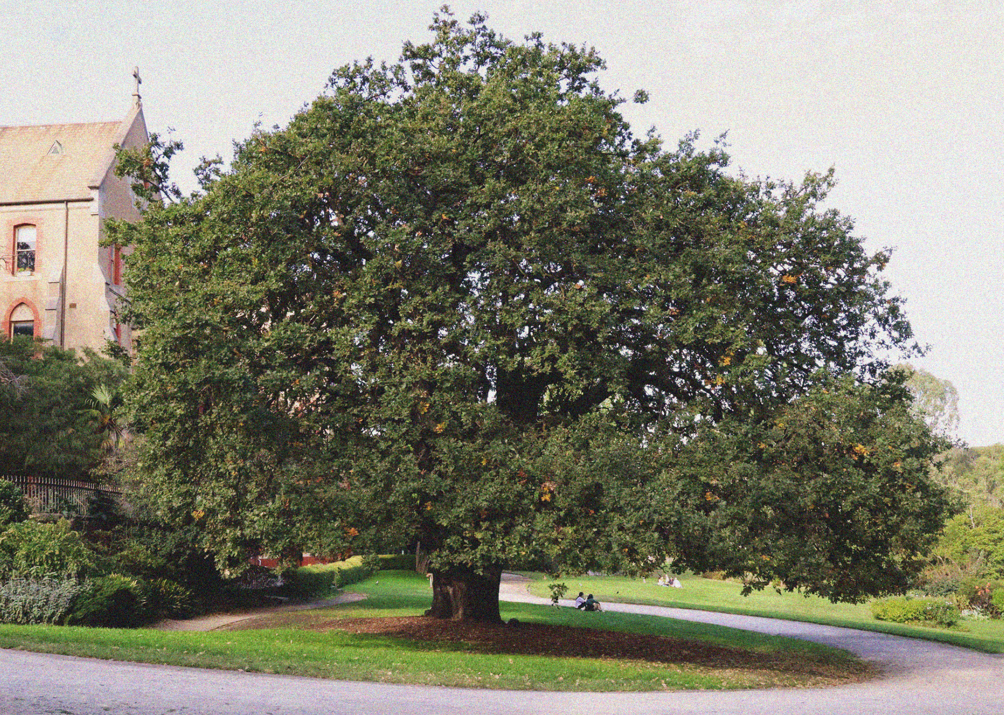 Schermafbeelding 2025-09-15 om 18.03.32.png