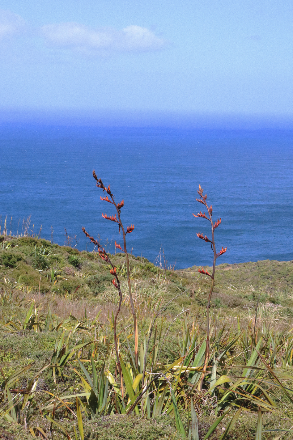 Schermafbeelding 2025-09-15 om 18.00.44.png