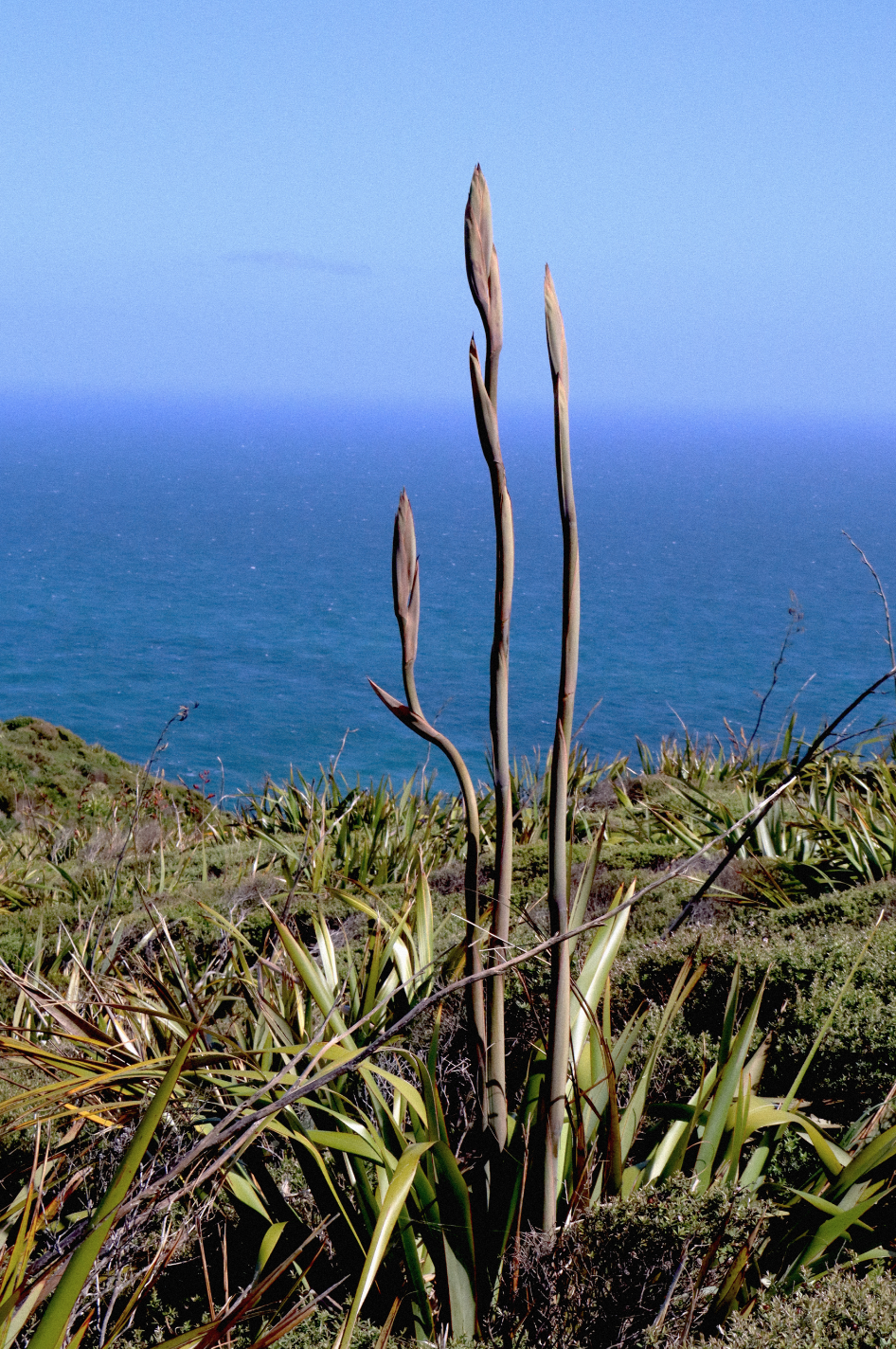 Schermafbeelding 2025-09-15 om 18.00.53.png