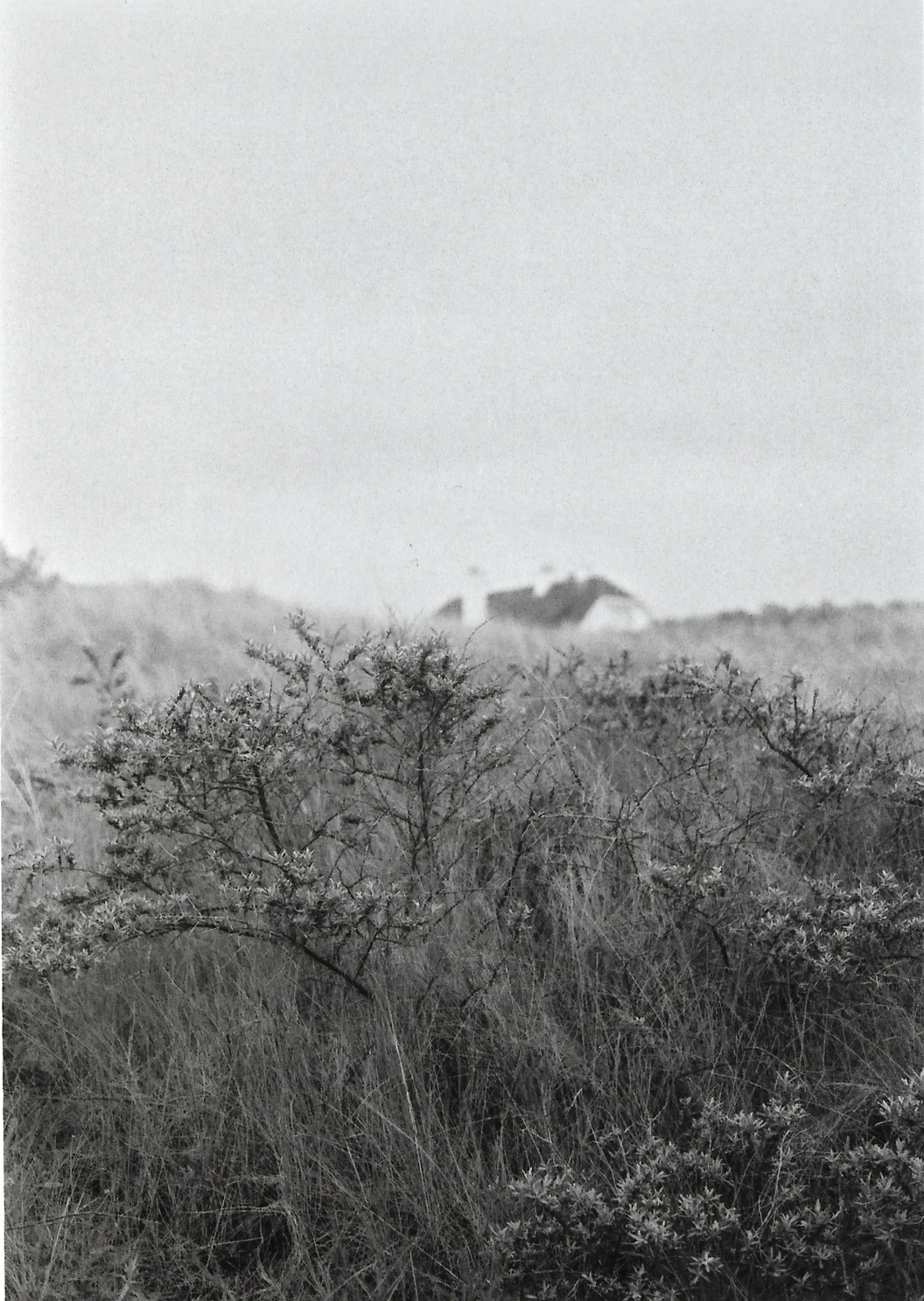 Schermafbeelding 2023-09-27 om 21.56.35.png