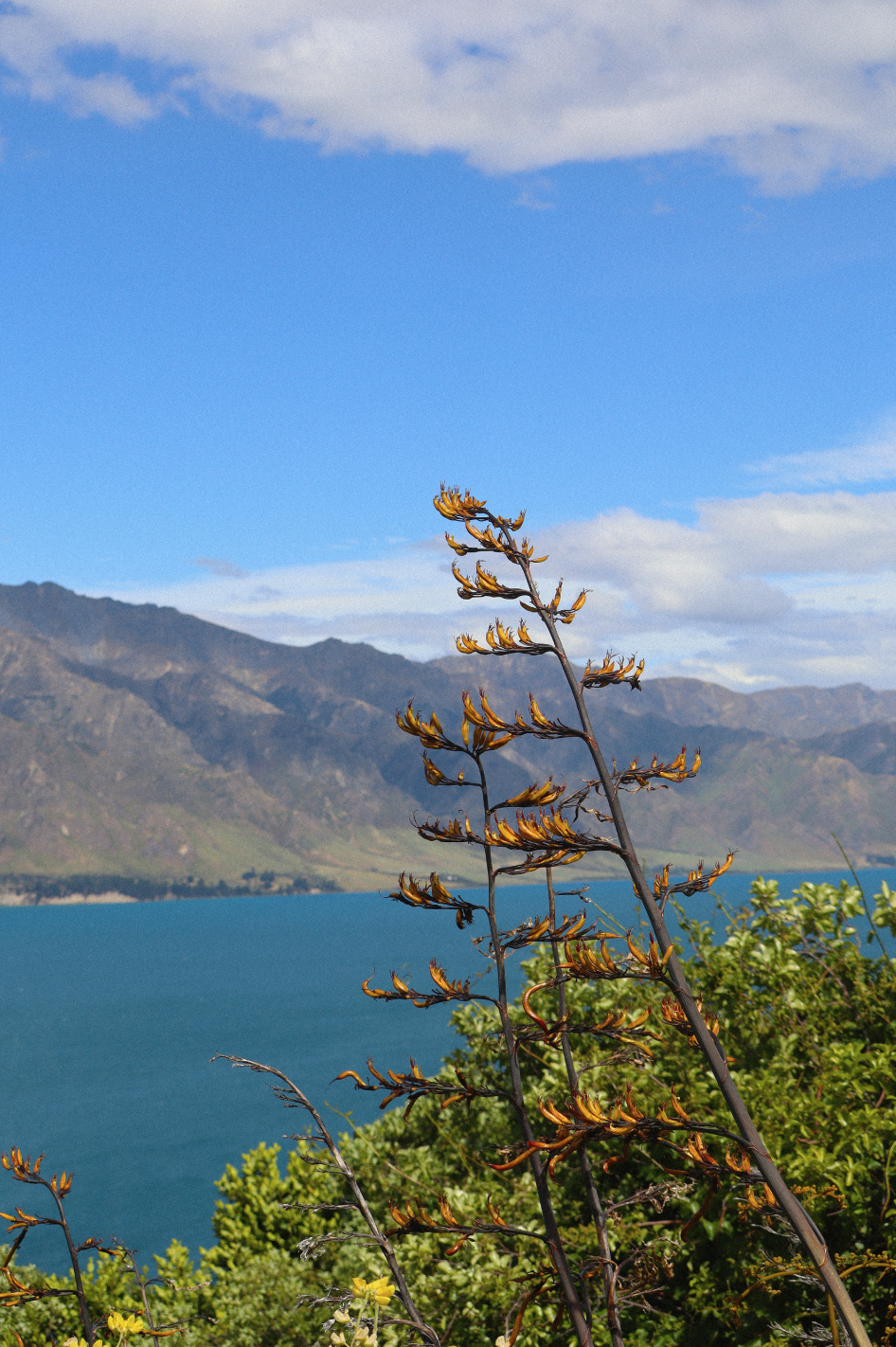 Schermafbeelding 2025-09-15 om 18.01.22.png