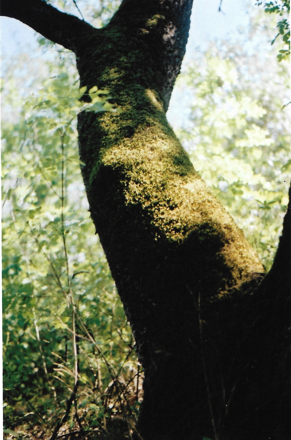 Schermafbeelding 2023-09-27 om 21.54.21.png