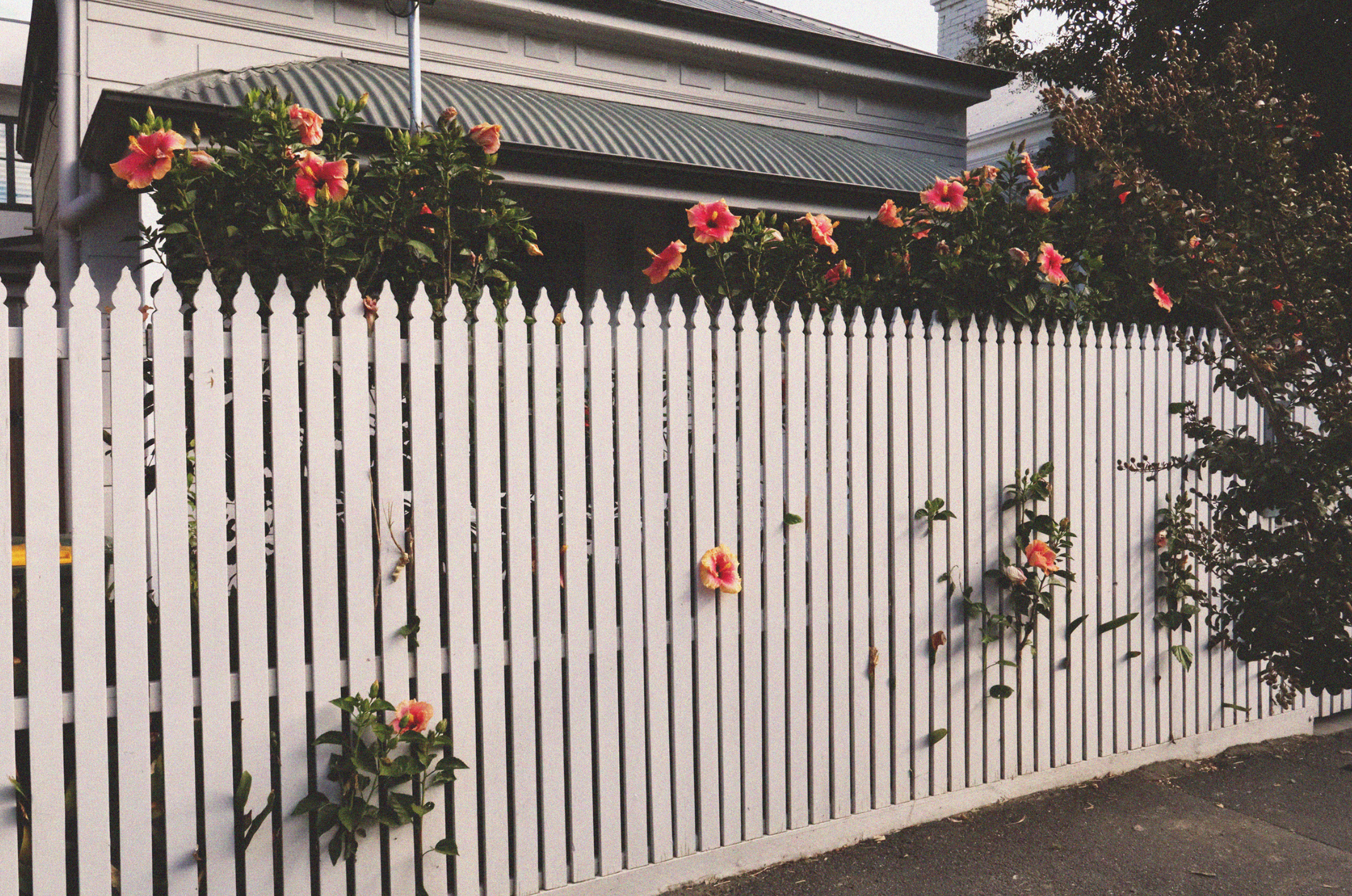 Schermafbeelding 2025-09-15 om 18.03.41.png