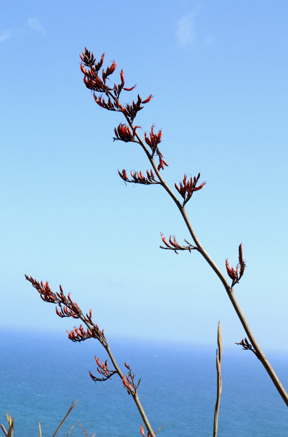 Schermafbeelding 2025-09-15 om 18.01.12.png