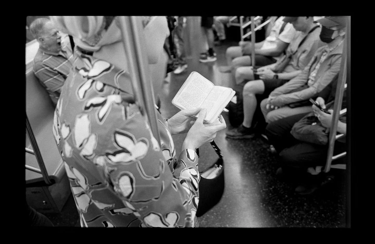 Brooklyn/Queens/J train, 2024.