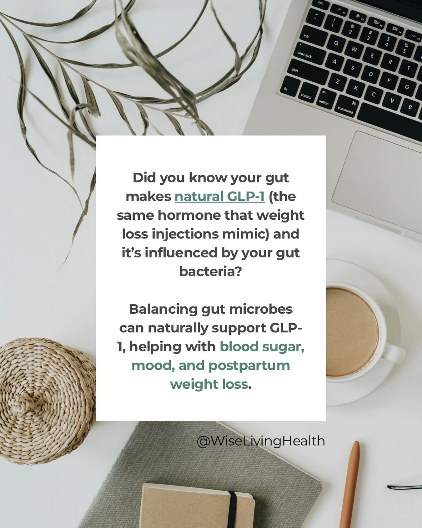 🚨Everyone&rsquo;s talking about GLP-1 injections (ozempic is a popular one)&hellip;but your body actually makes its own! 

When your gut is inflamed, sluggish, or overrun by the wrong bacteria, your natural GLP-1 response drops, leading to more crav