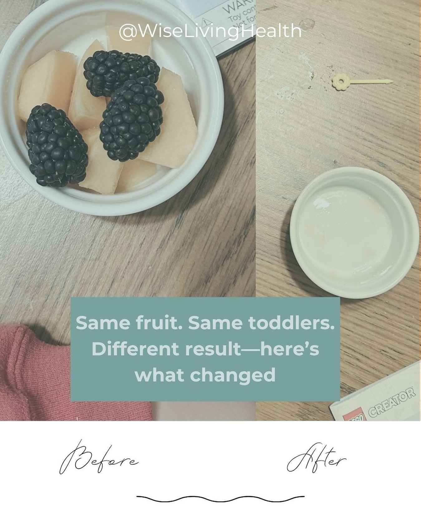 Yesterday: untouched.
Today: gone.
Nothing about the food changed&hellip;

But everything about how I approached it did.

Here are the simple shifts that made the difference:

✨ My attitude &mdash; no pressure, no &ldquo;just take a bite,&rdquo; no s