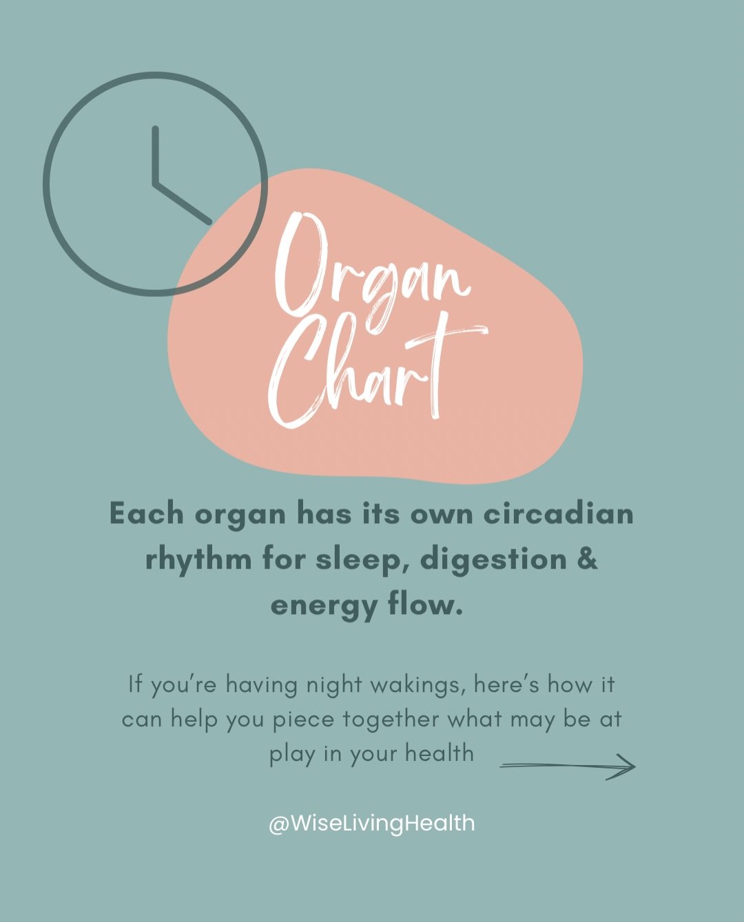 Ever wake up at the SAME time every night? 👀

According to the TCM Body Clock, each organ system has a 2-hour window when its energy is most active. And when you consistently wake during a certain window, TCM patterns may help guide you to tuning in