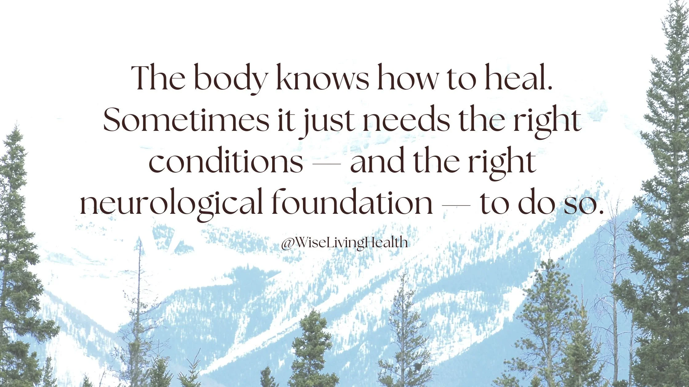 Quote-The body knows how to heal. Sometimes it just needs the right conditions to do so.